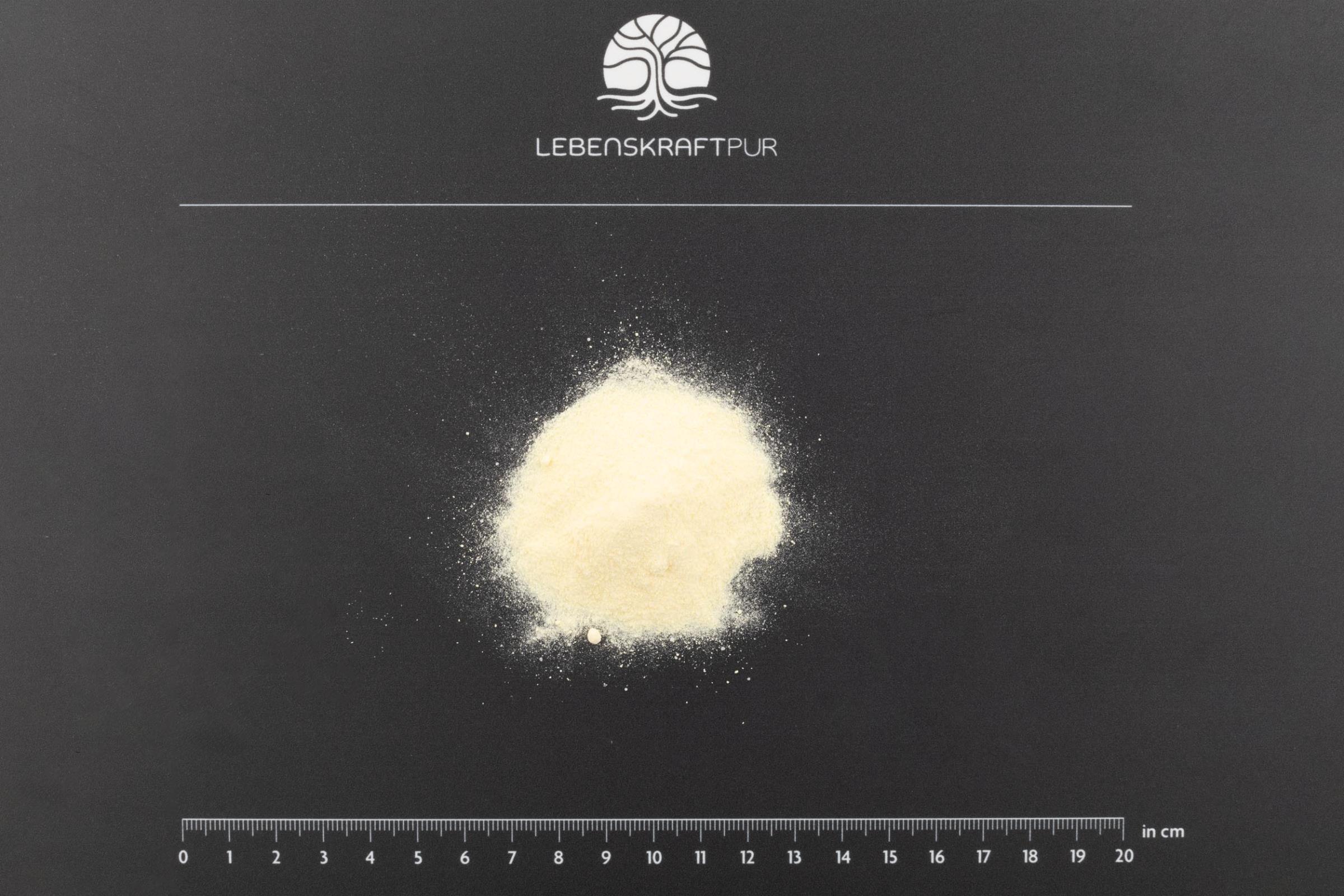 LebenskraftPur L-Arginin Plus Pulver Aminosäuren mit Citrullin
