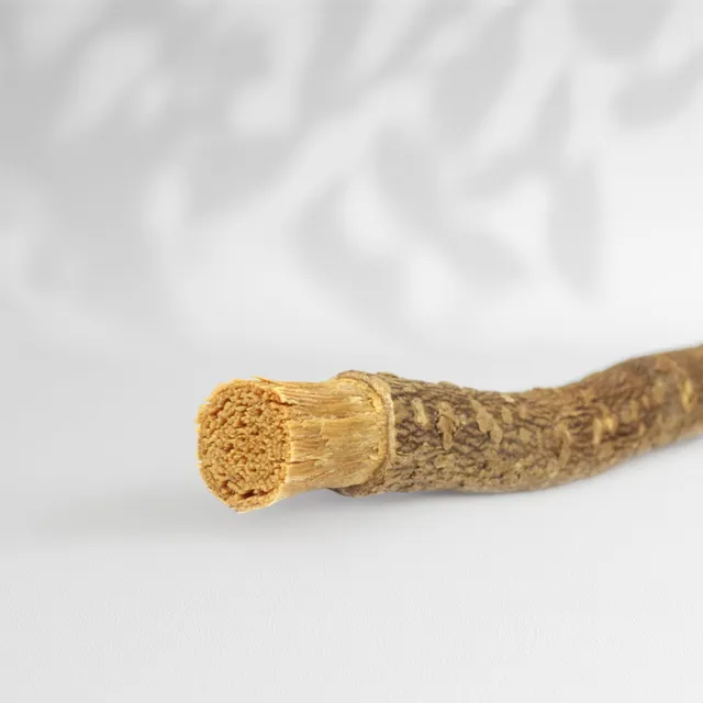 Lebenskraftpur Miswak Zahnbürste Holz unbehandelt nachhaltig