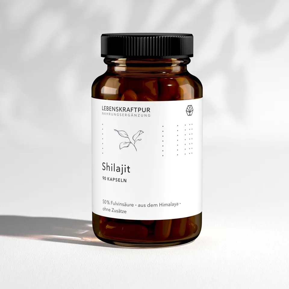 LebenskraftPur Shilajit Kapseln Himalaya 90 Kapseln vegan