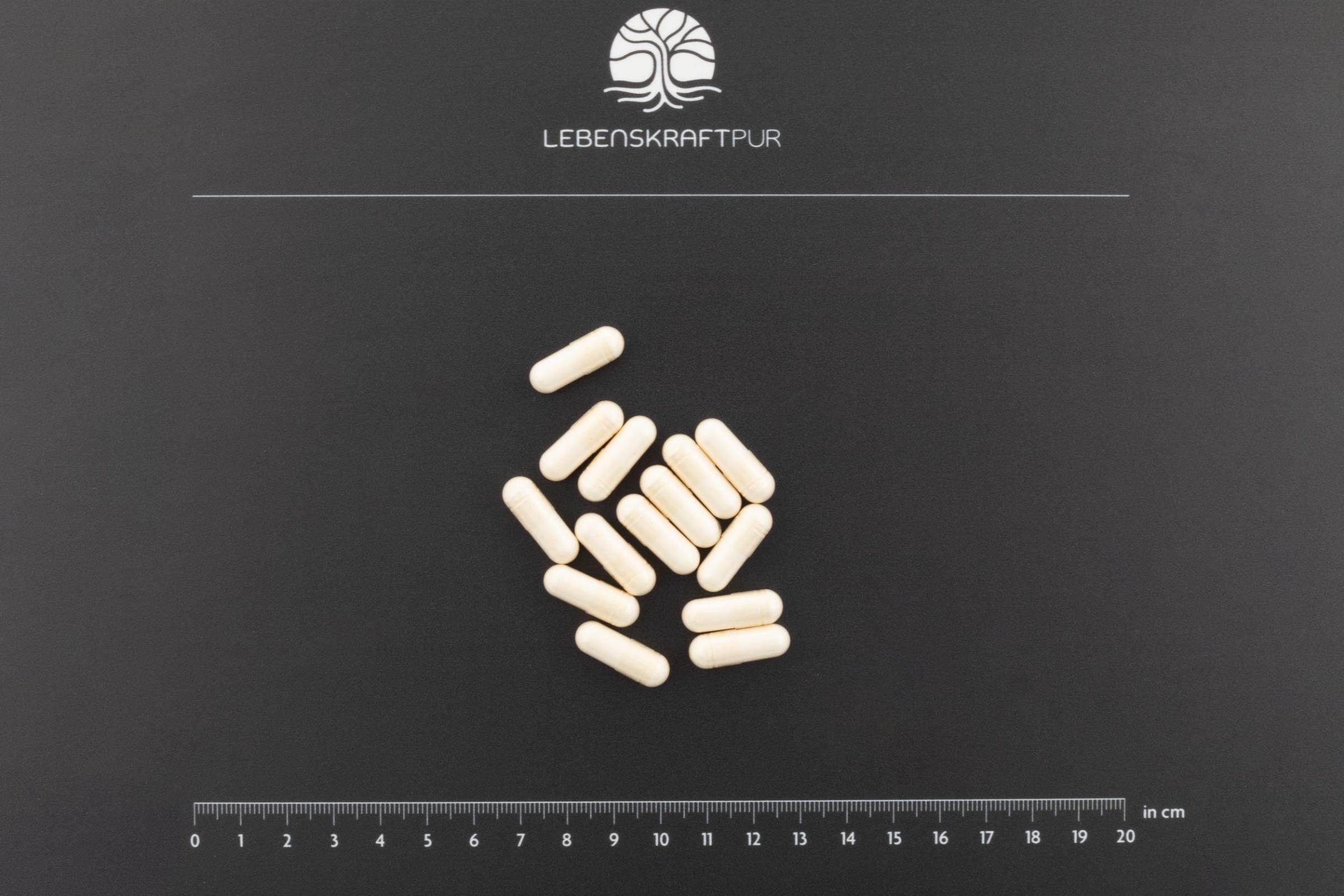 LebenskraftPur Bio Mikrobiom Protekt Kapseln Probiotika Vegan