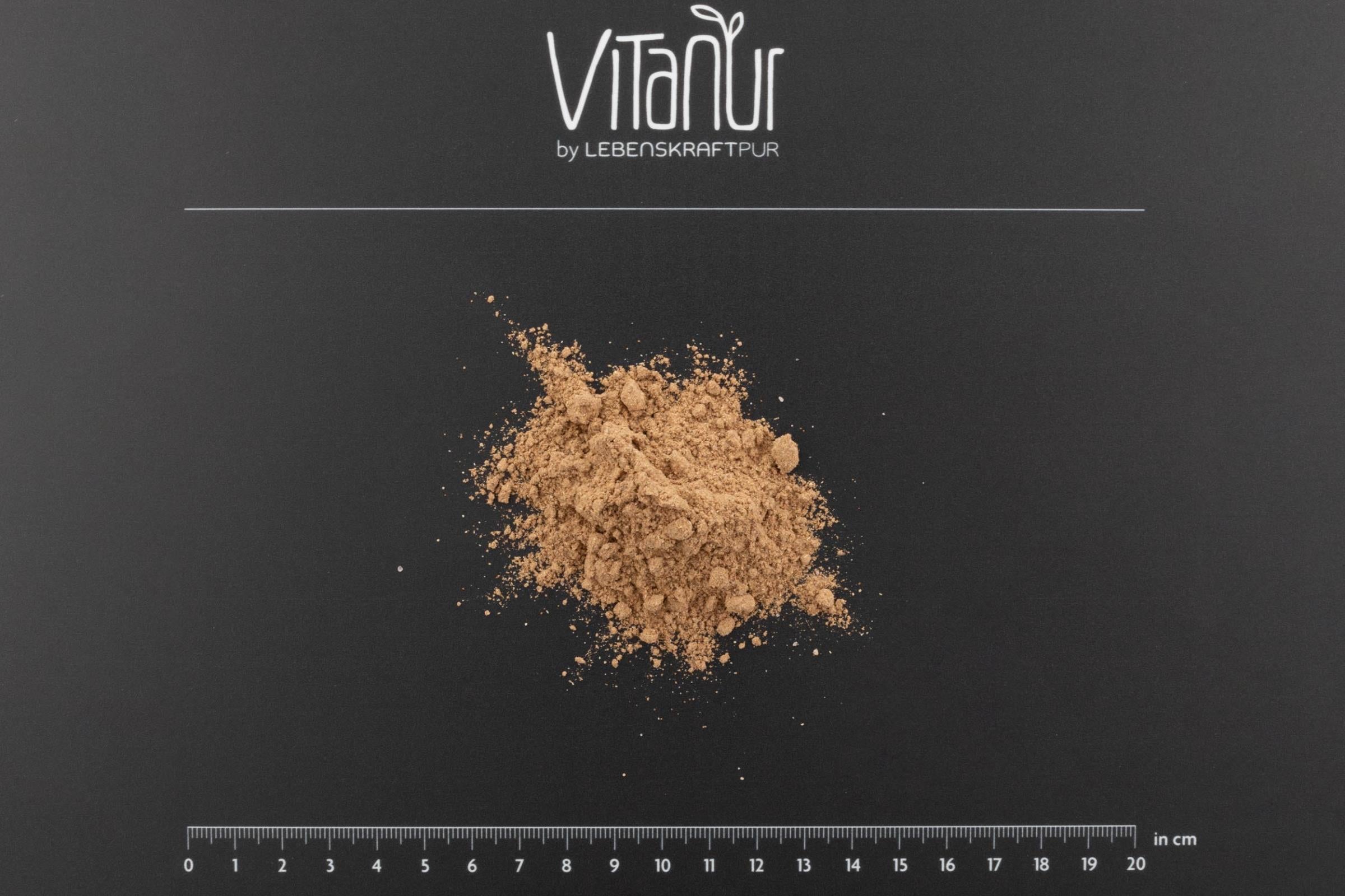 Lebenskraftpur Bio Goldenes Gewürz Pulver für Goldene Milch