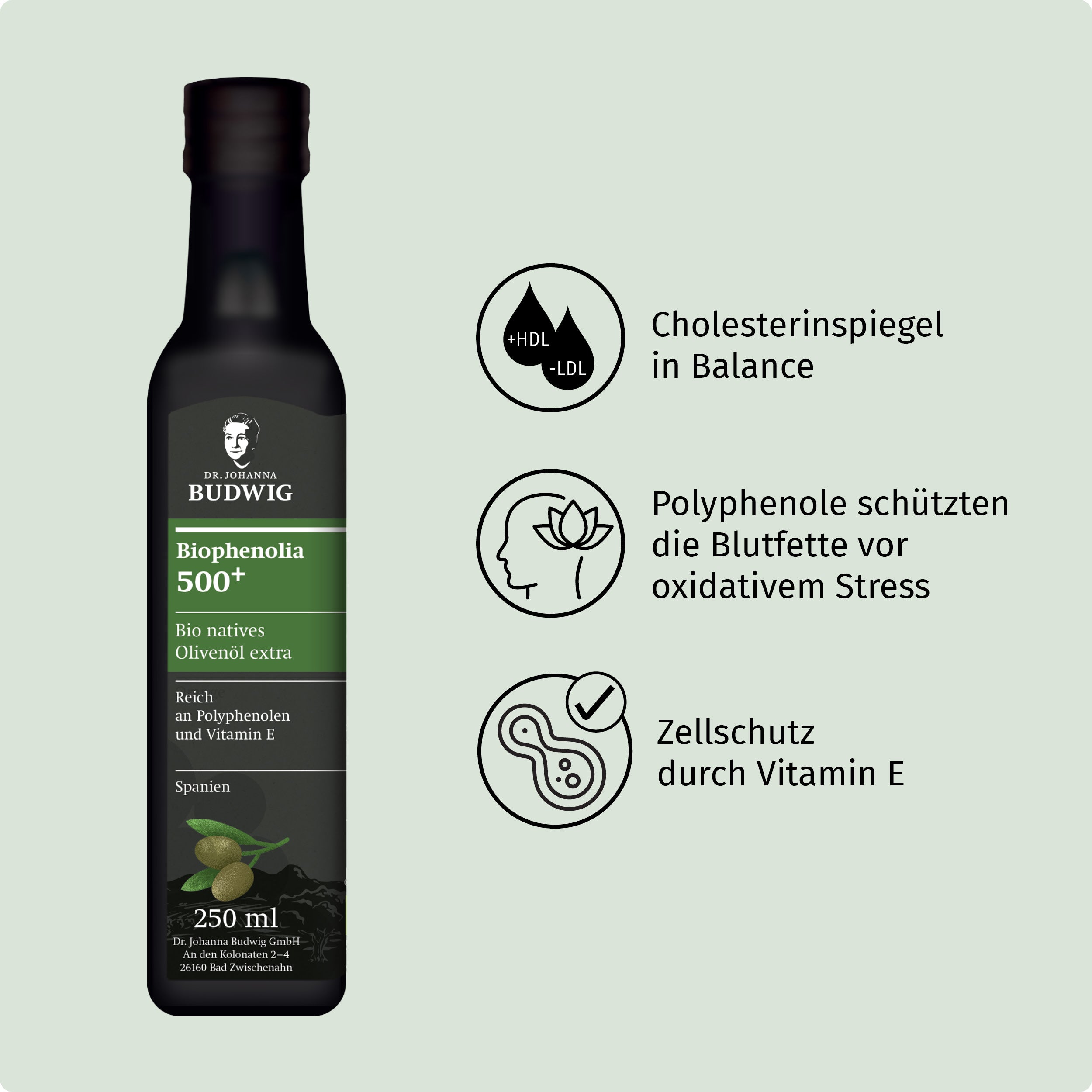Dr. Johanna Budwig Speiseöle Biophenolia Olivenöl 250 ml Polyphenol