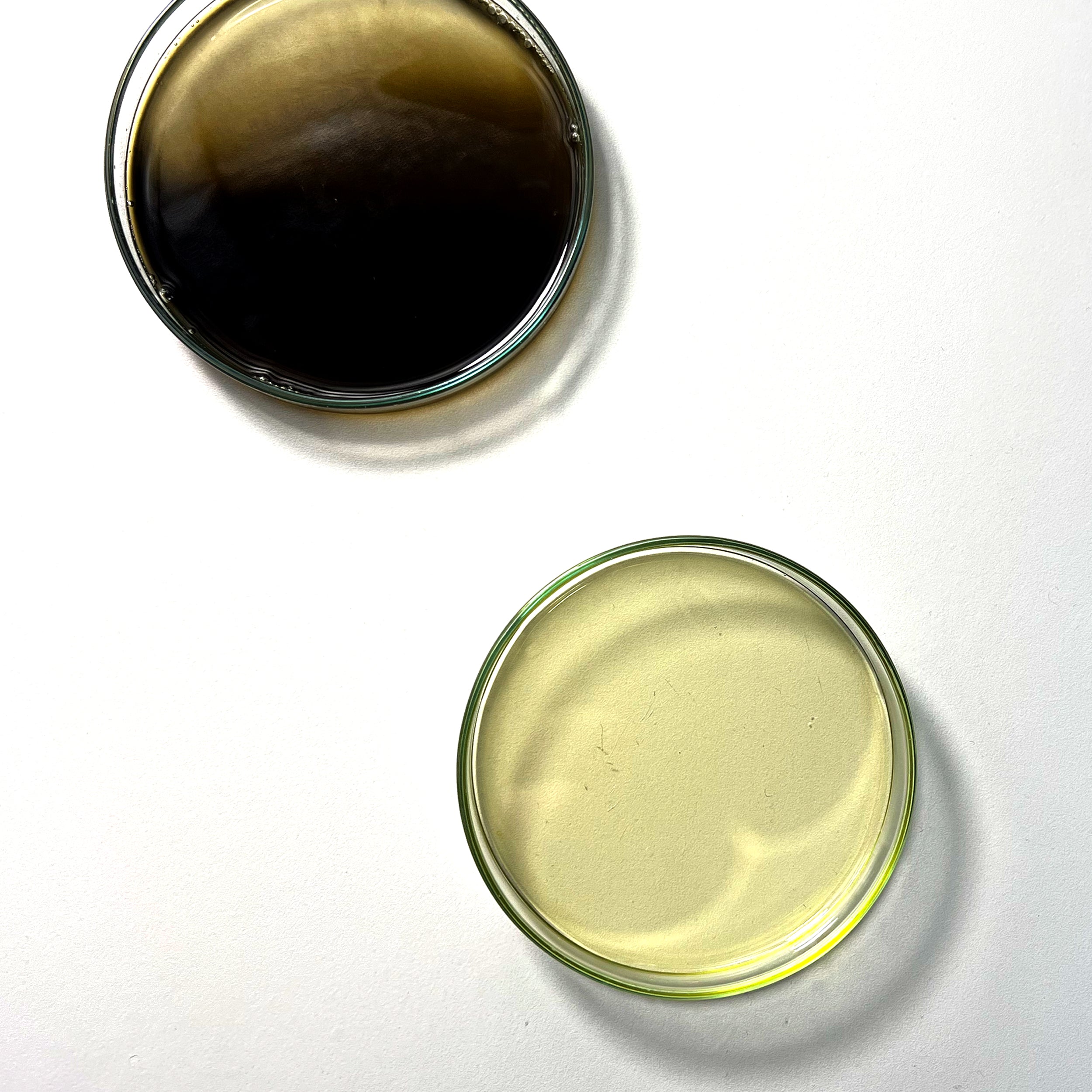 Dr. Budwig Schwarzkümmel-Omega-3 Saison-Set Öle pflanzlich