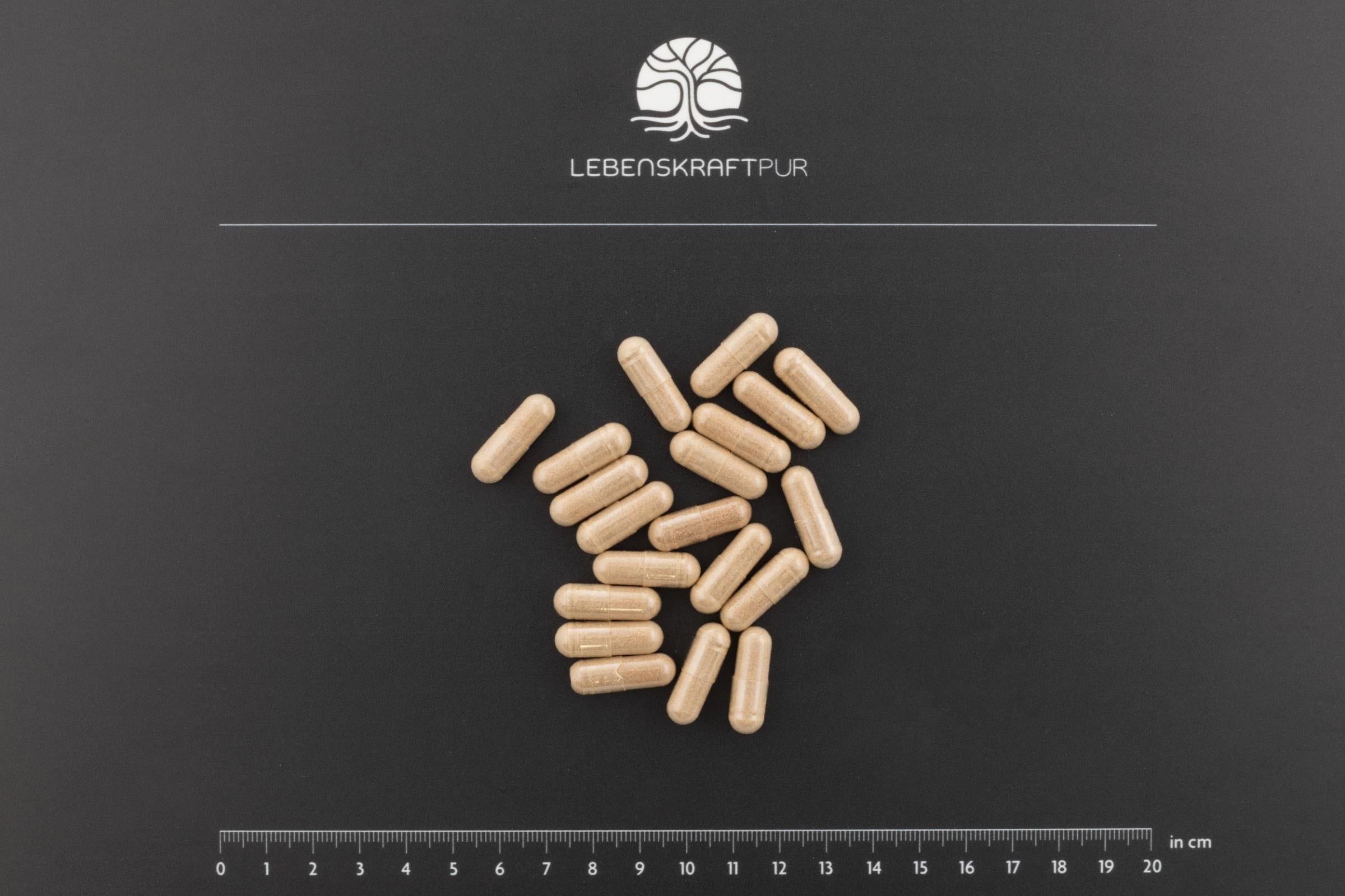 Lebenskraftpur Adaptogen Komplex Kapseln Ashwagandha
