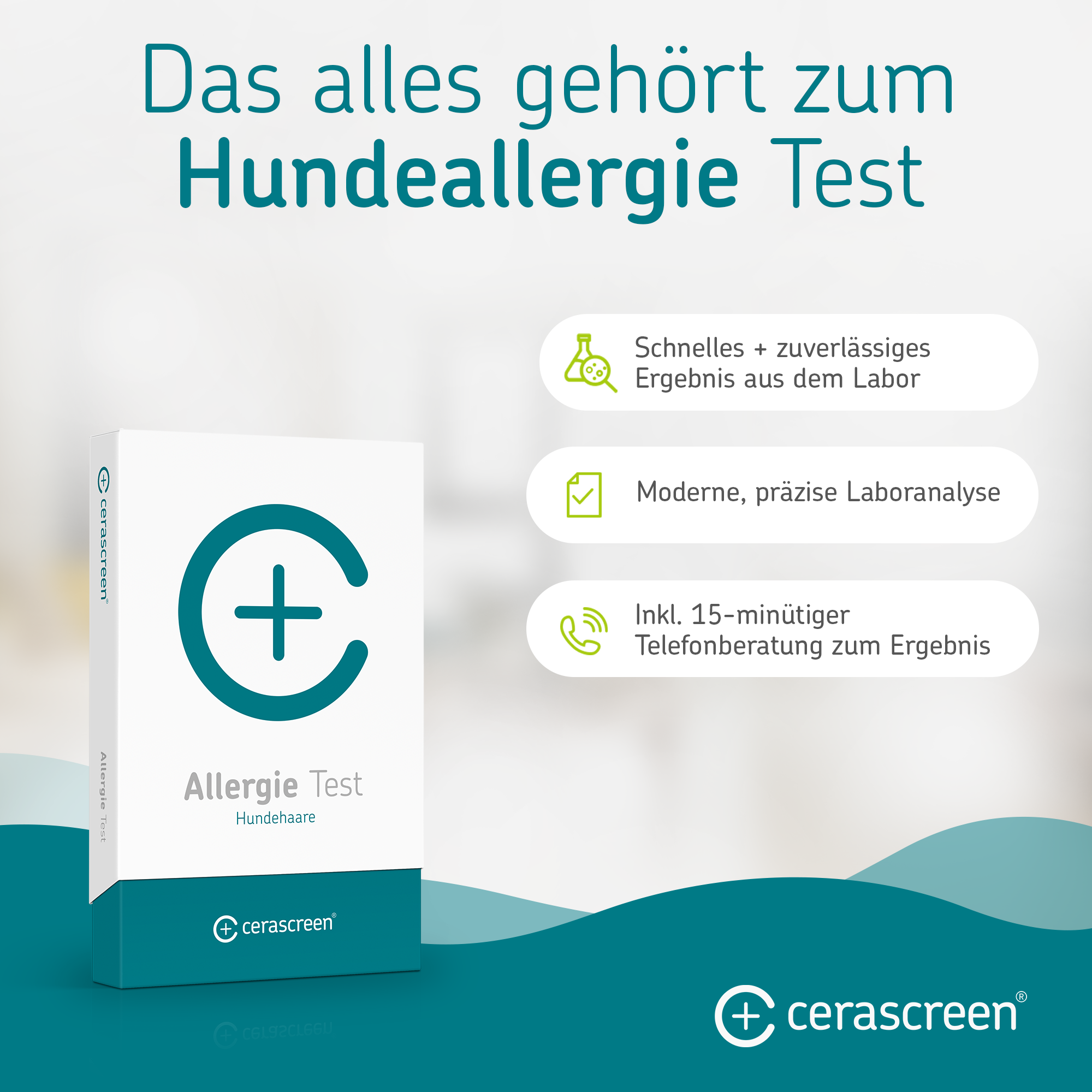 cerascreen Hundeallergie Test Allergie Heimtest Bluttest