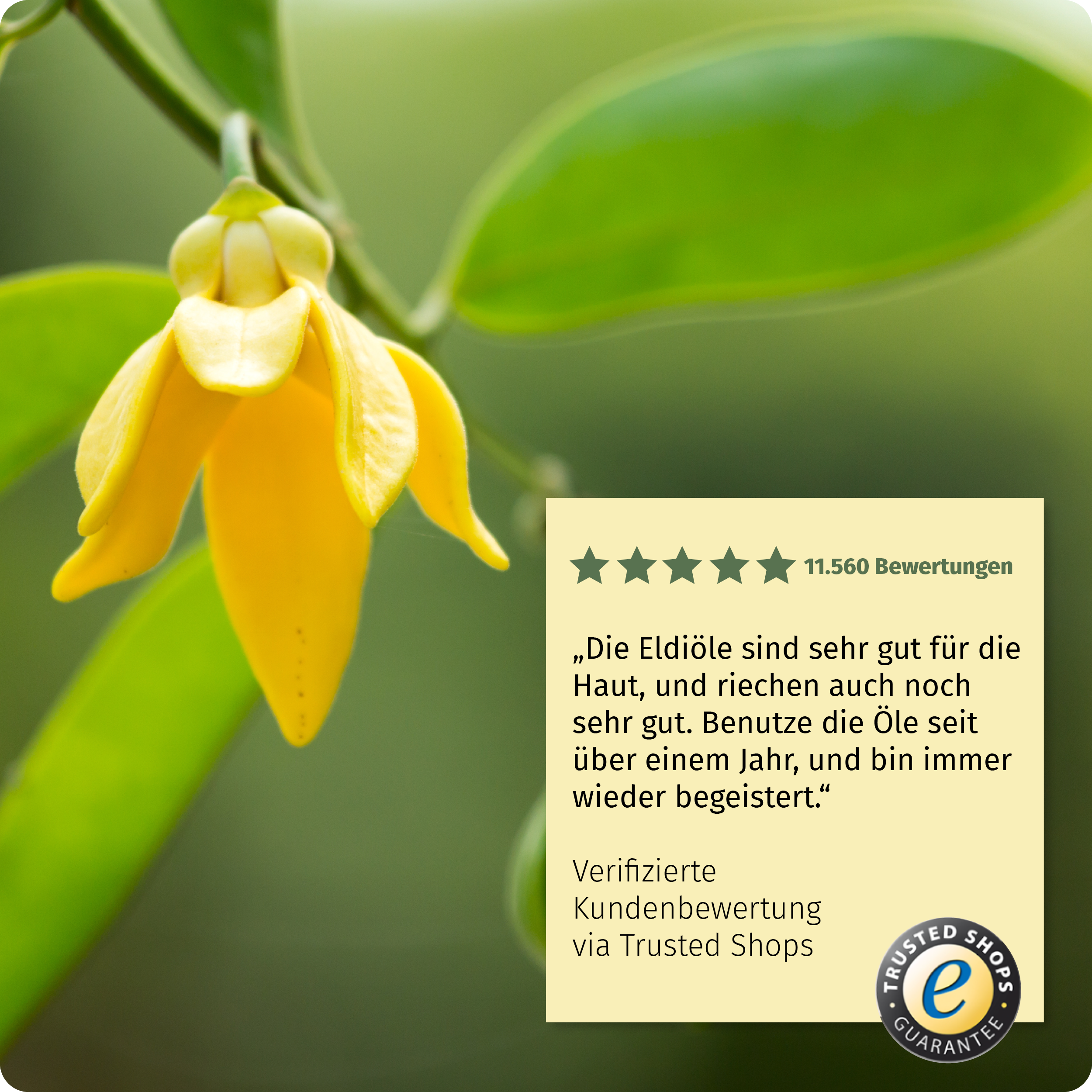 Dr. Johanna Budwig Pflegeöle Eldi-Öl Ylang Ylang Körperöl