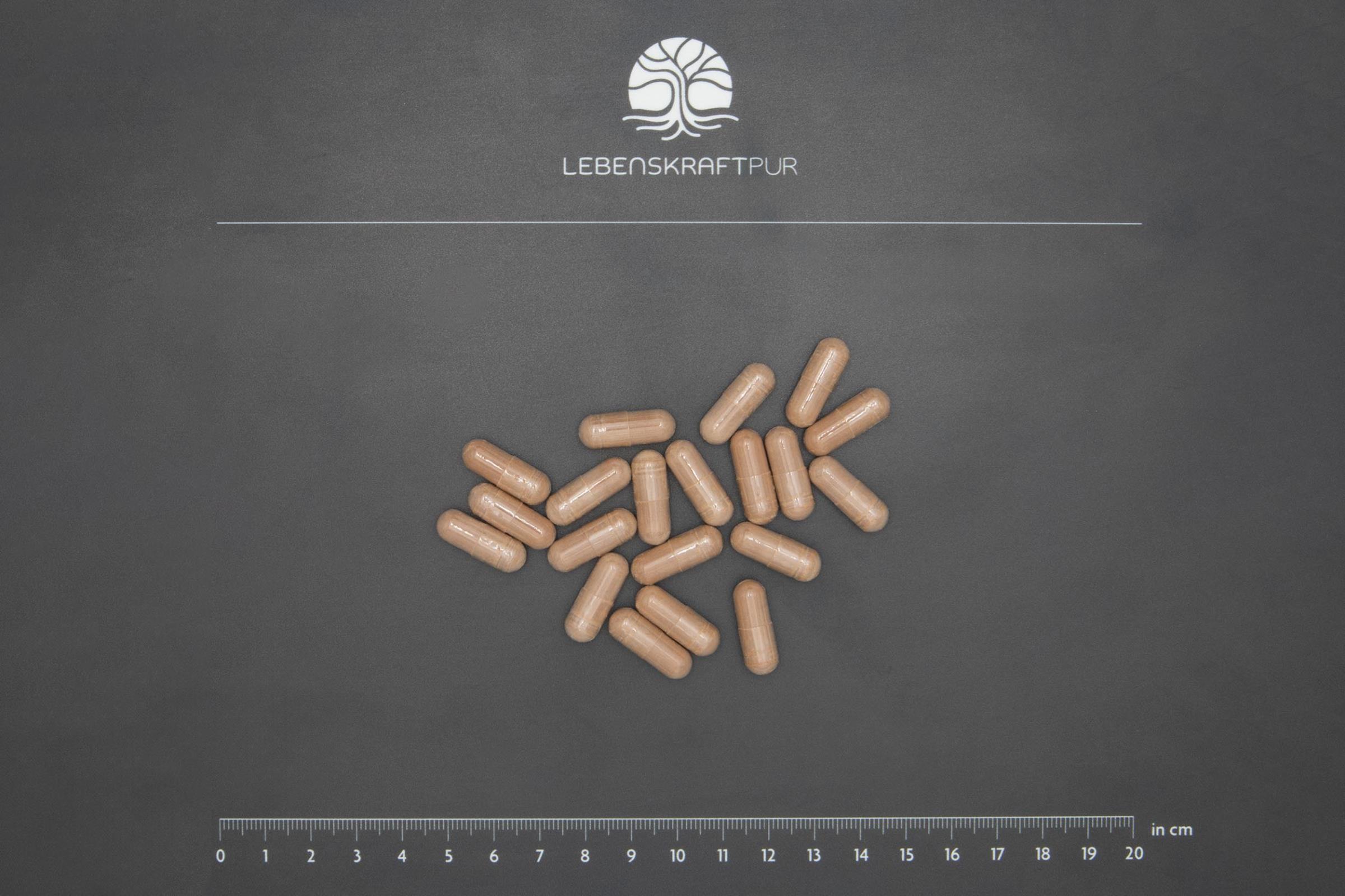 LebenskraftPur OPC Komplex Forte Kapseln 500 mg OPC vegan