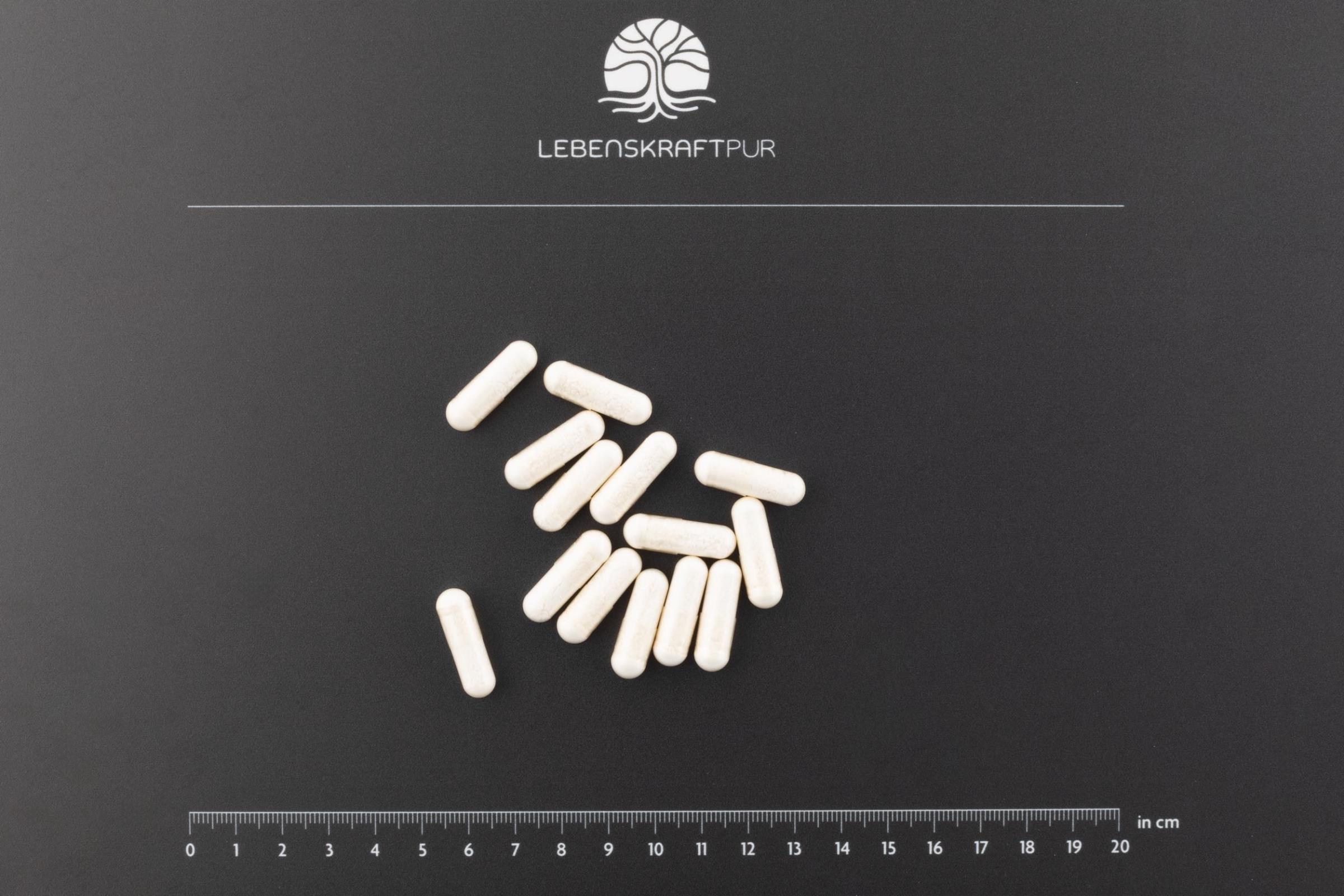 LebenskraftPur Propionsäure Kapseln 1000 mg Natriumpropionat