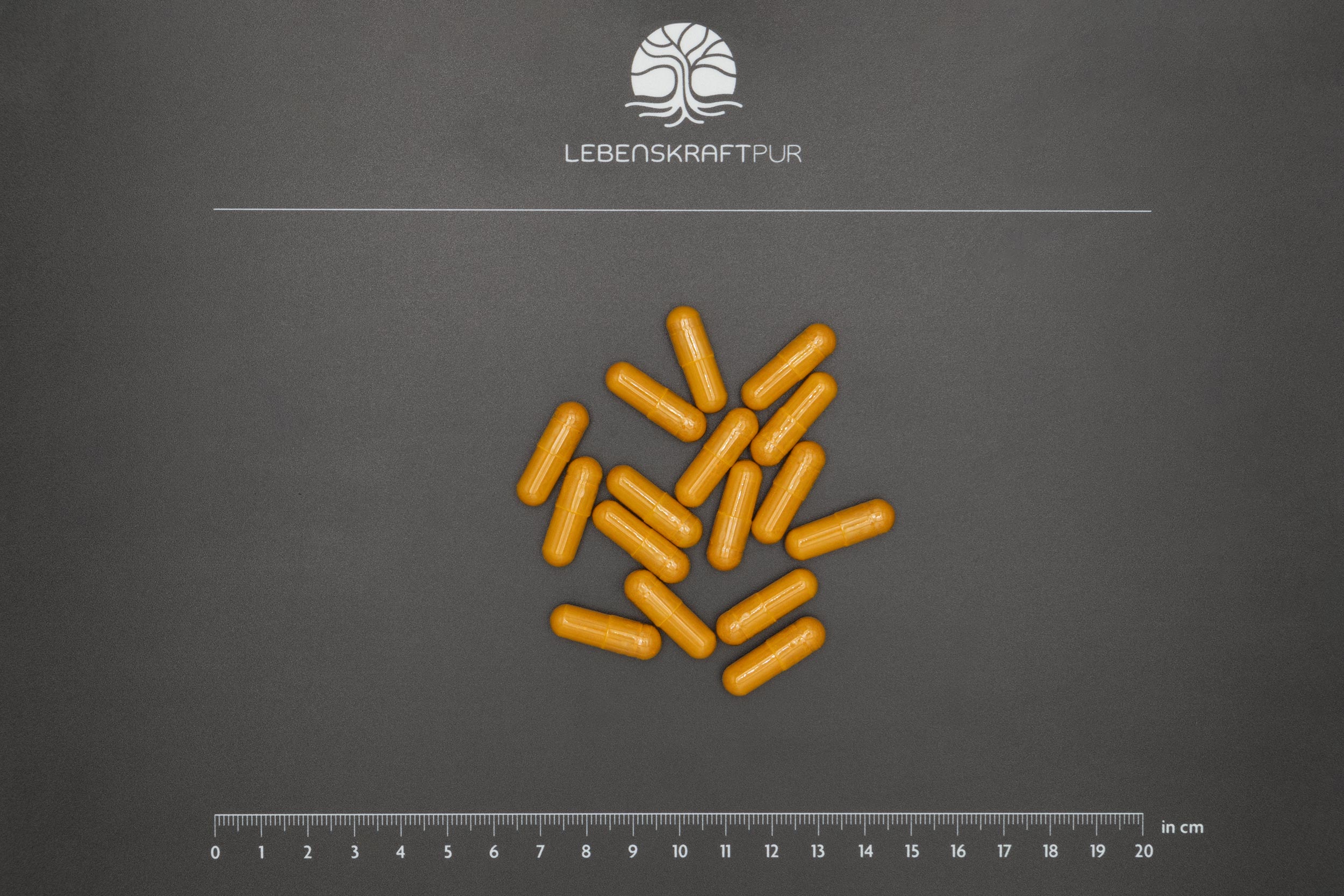 LebenskraftPur Curcumin Vollspektrum Komplex Kapseln Kurkuma