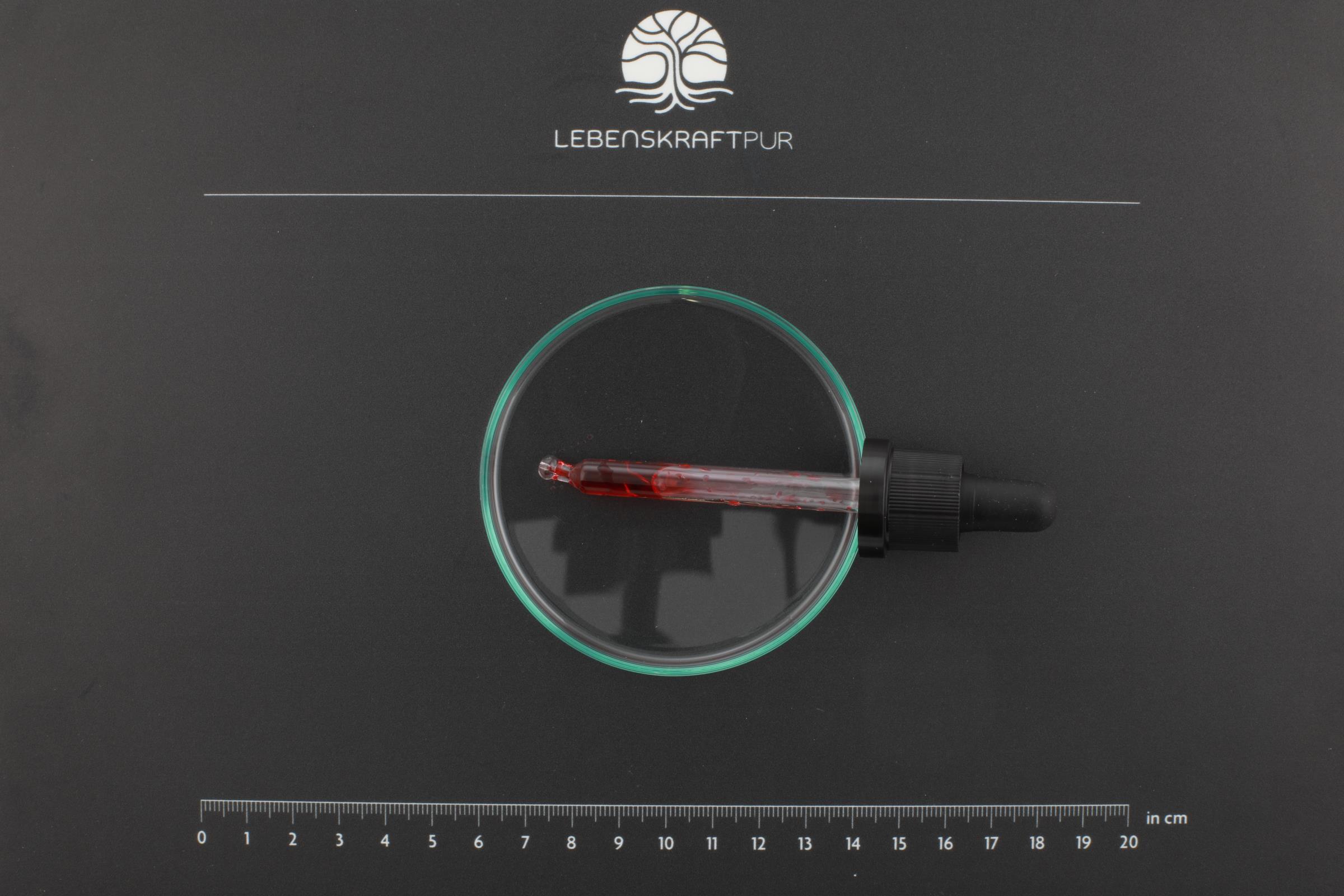 LebenskraftPur Vitamin B12 Komplex Tropfen 200 µg vegan