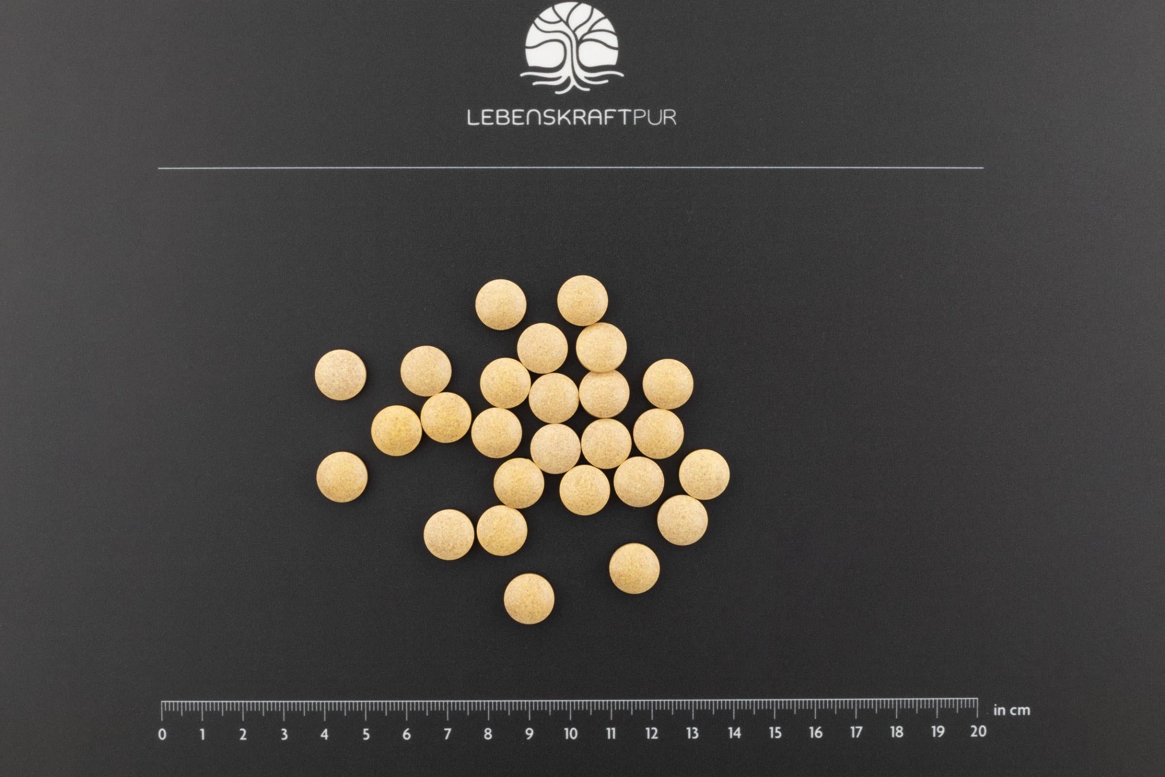 LebenskraftPur Inflamm Relax Tabletten vegetarisch Weihrauch