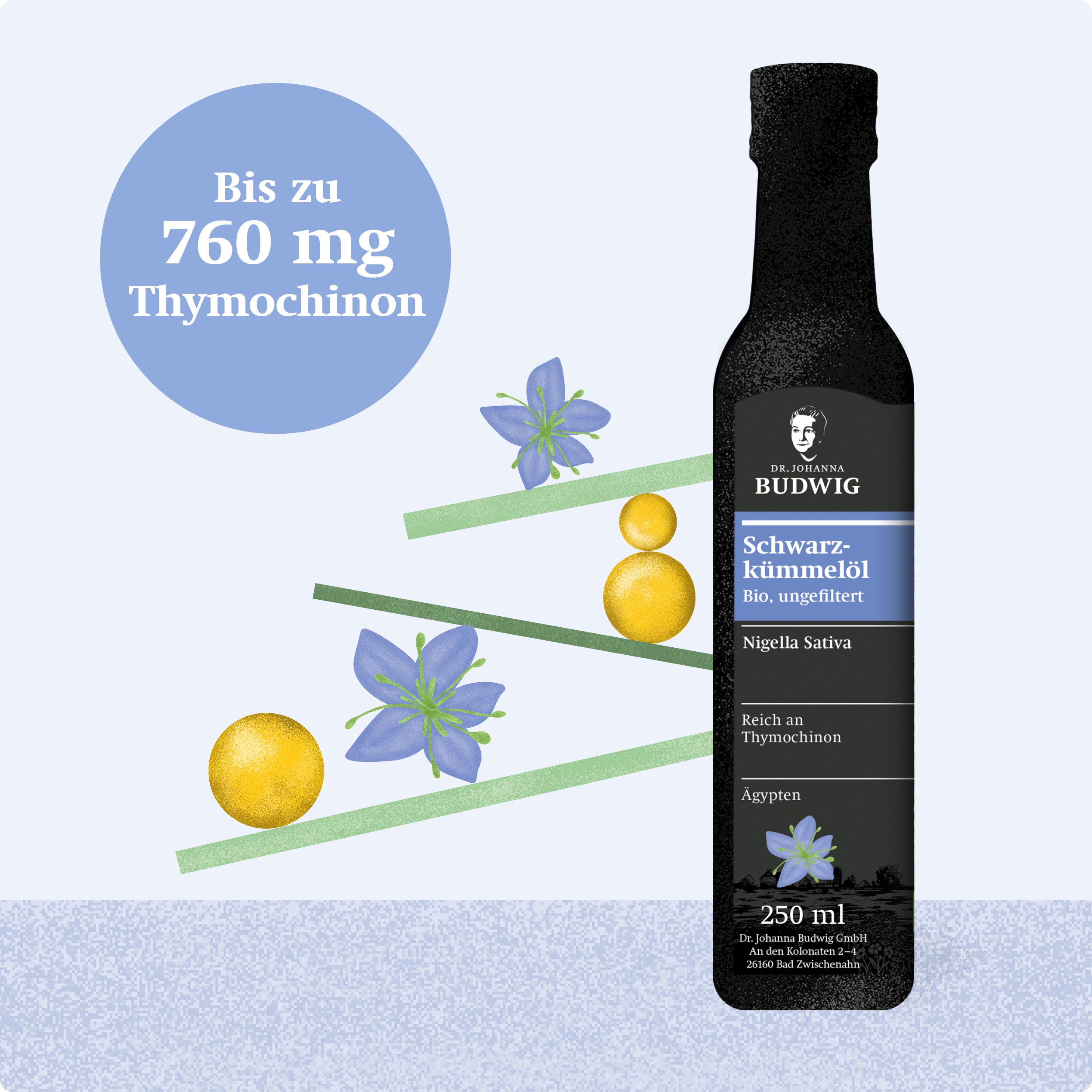 Dr. Budwig Schwarzkümmel-Omega-3 Saison-Set Öle pflanzlich