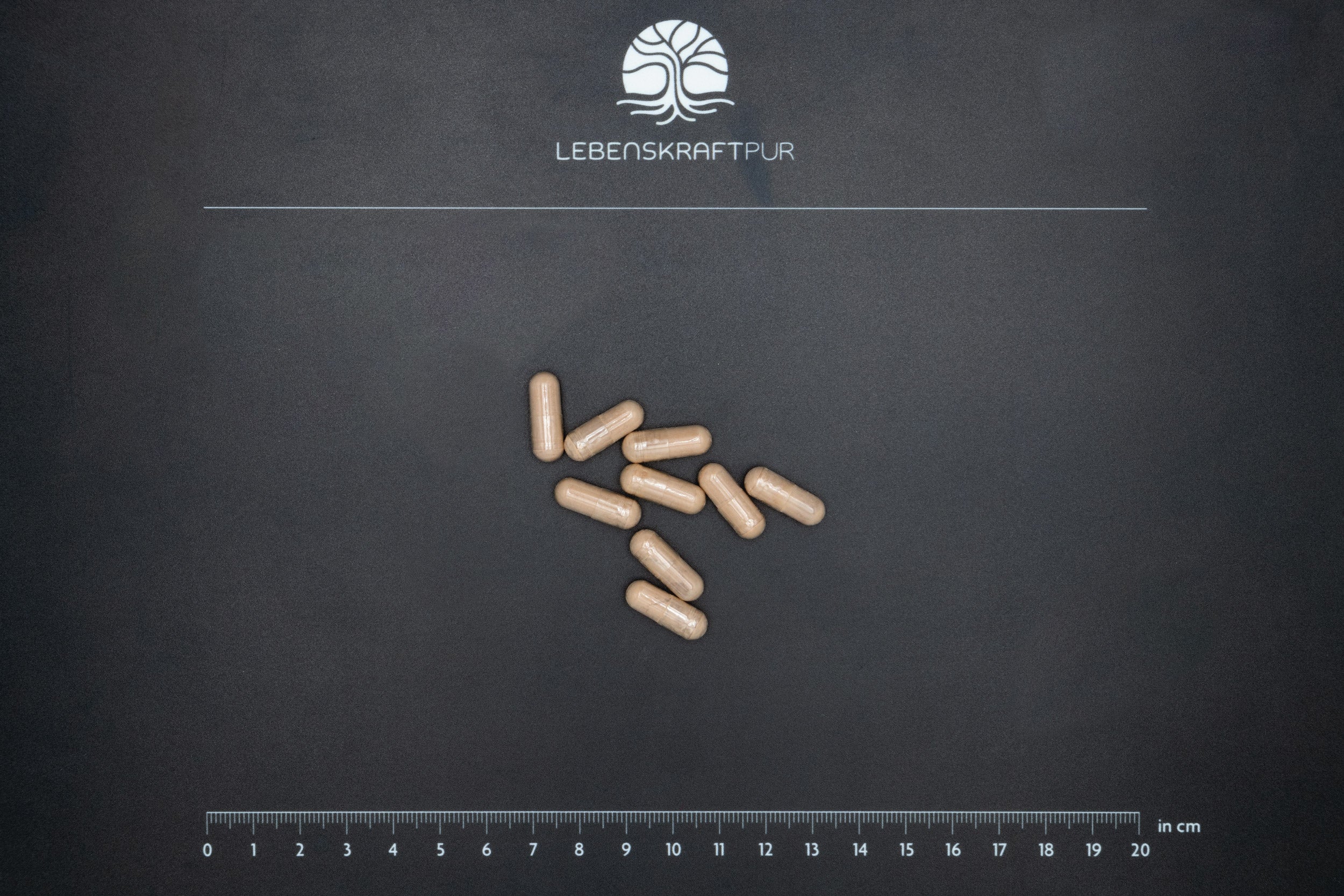 LebenskraftPur Rhodiola Rosea Extrakt Kapseln Adaptogen vegan