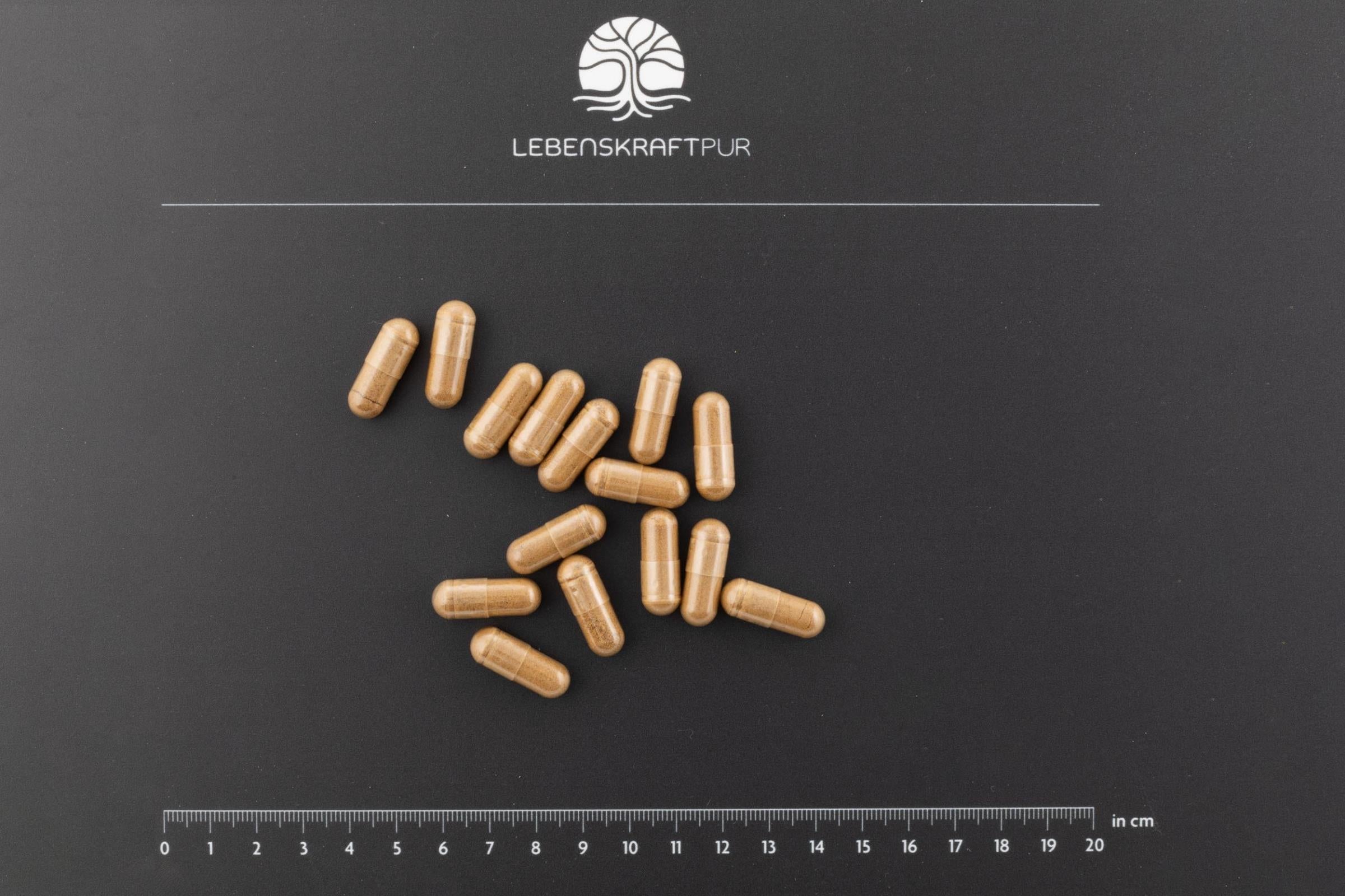 LebenskraftPur Bio Pilzkraft Protekt Kapseln 30 Kapseln Reishi