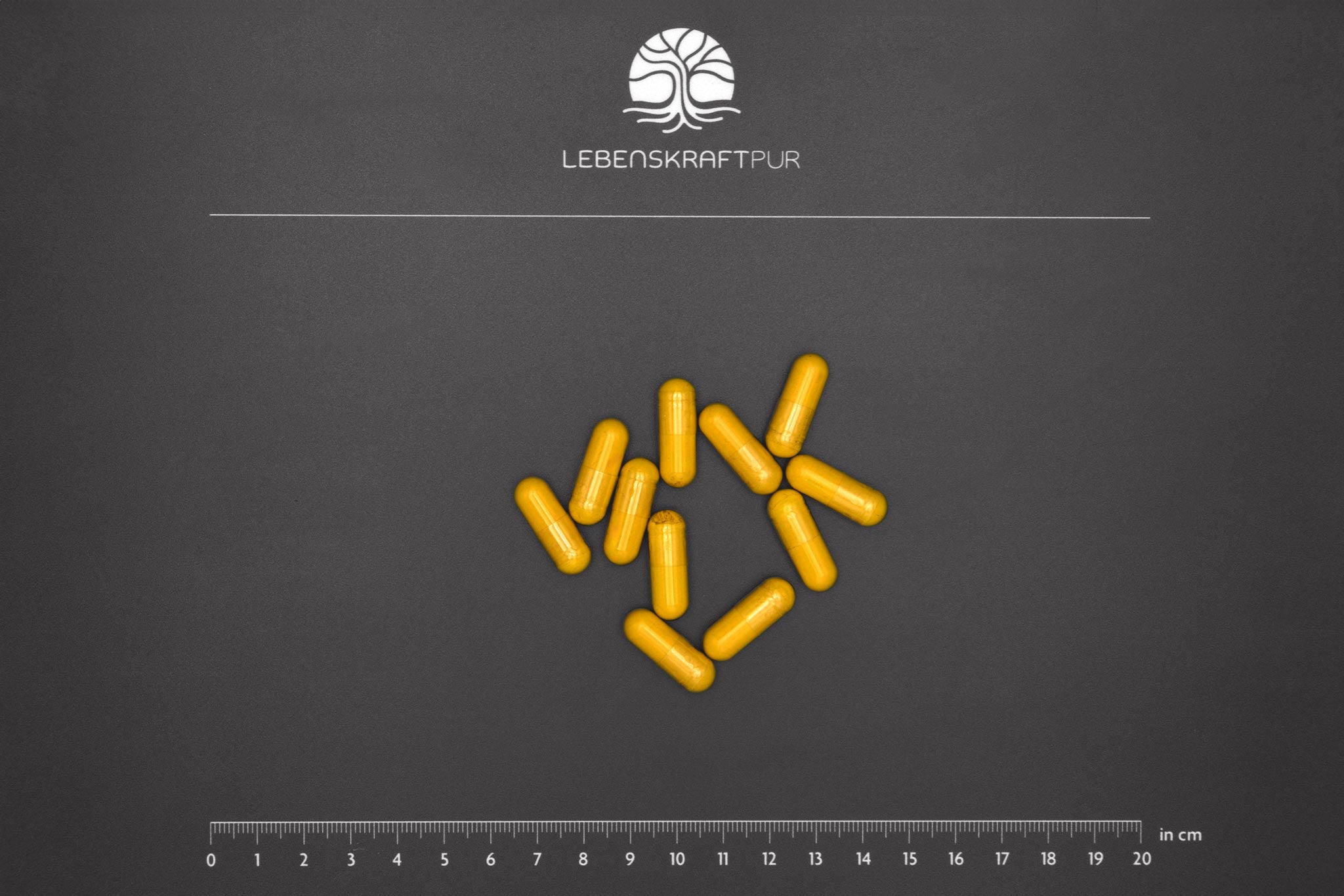 LebenskraftPur Berberin Kapseln 400 mg BerbiQ vegan