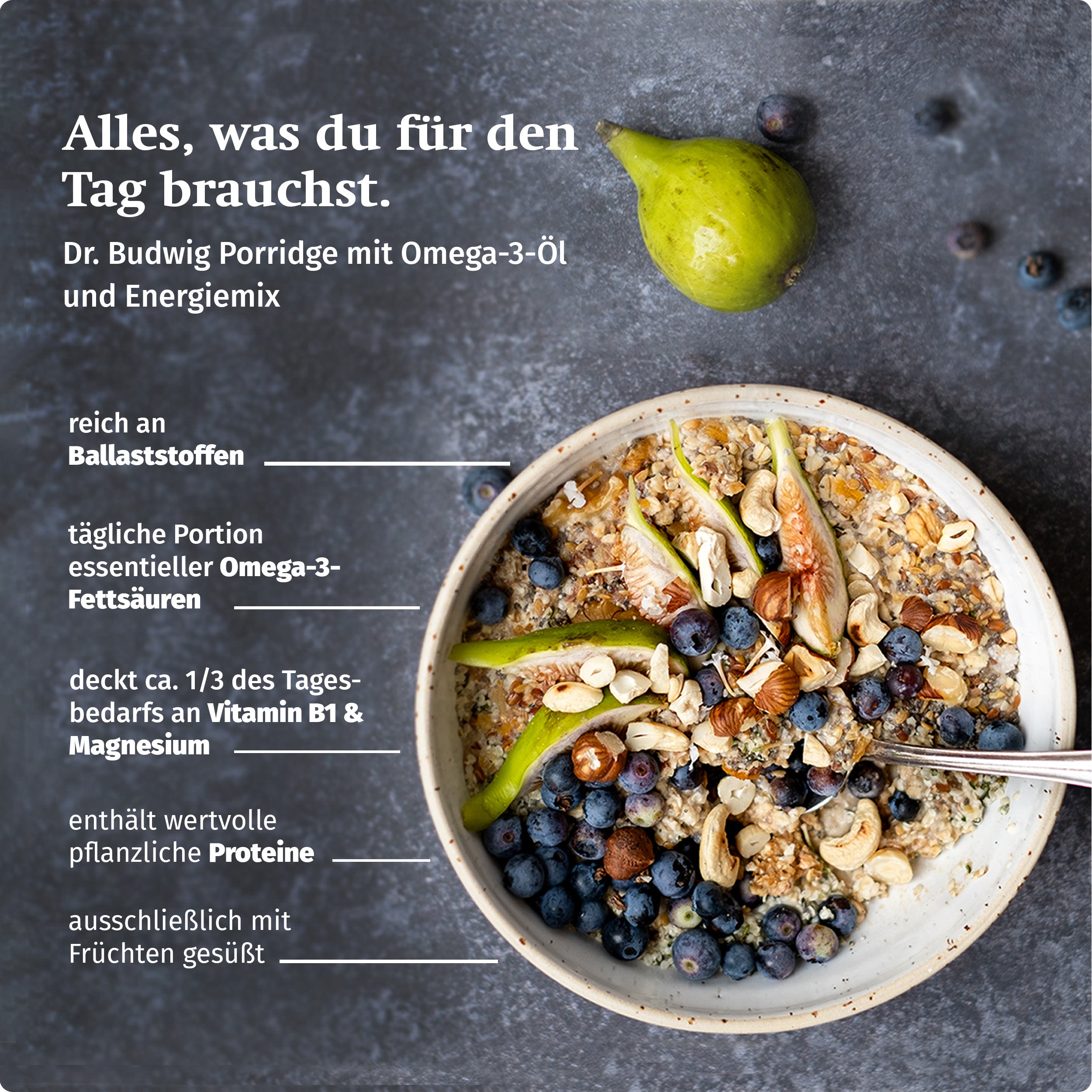 Dr. Johanna Budwig Vorteilspakete Porridge Kennenlern-Paket Protein