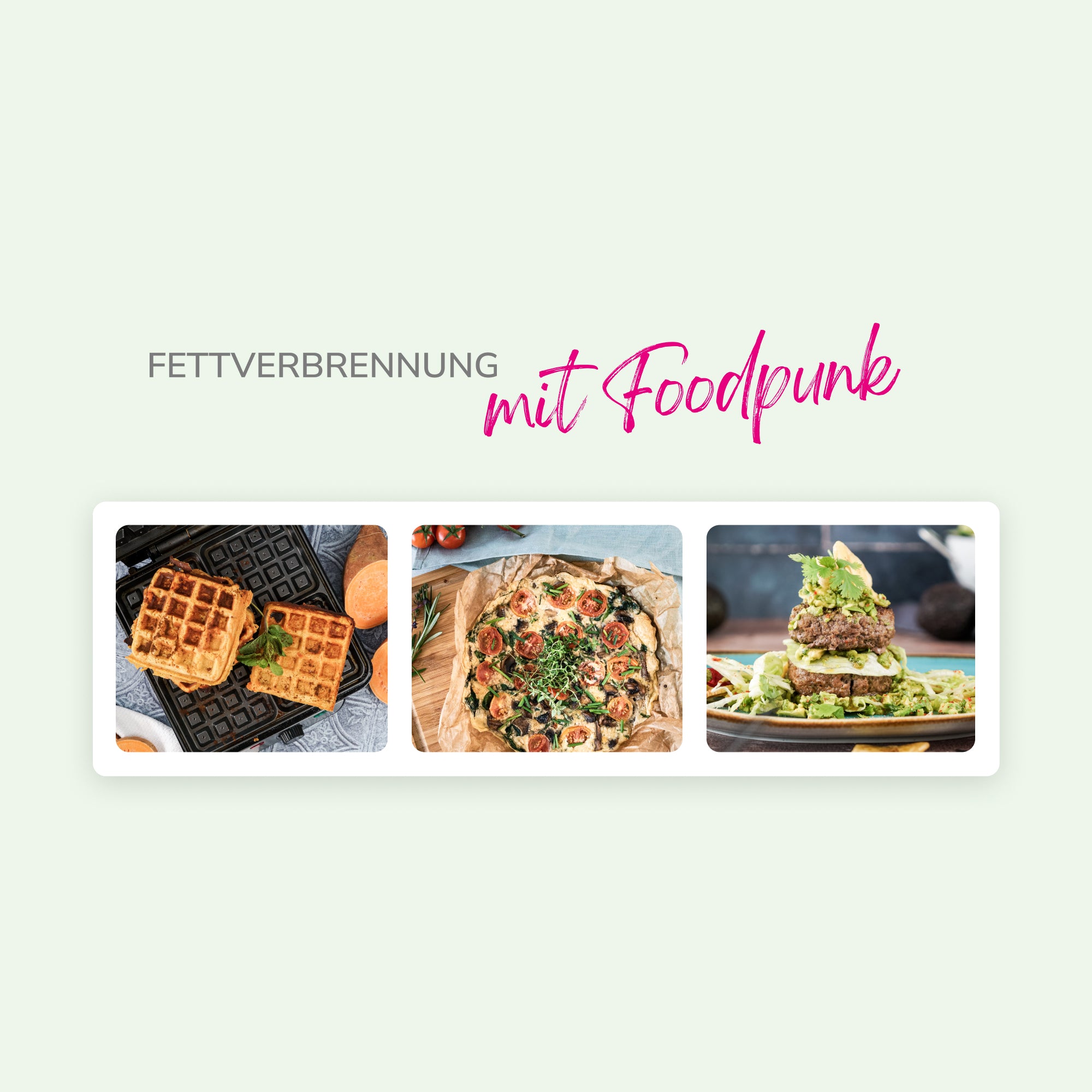 cerascreen Individueller Ernährungsplan Coaching 1er Pack