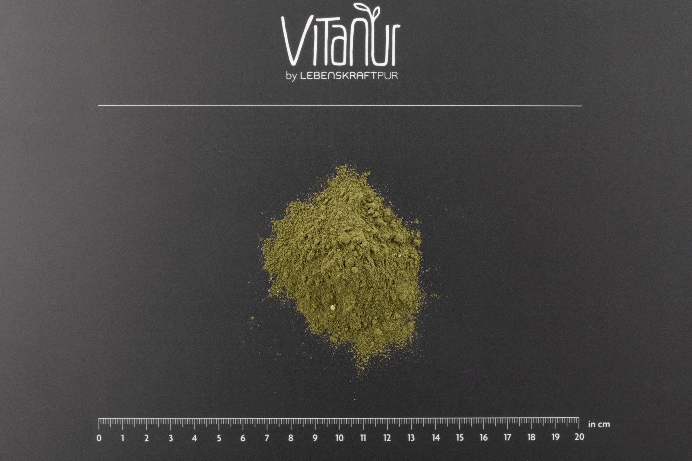 LebenskraftPur Superfood Bio Grünes Leben Pulver 14 Greens