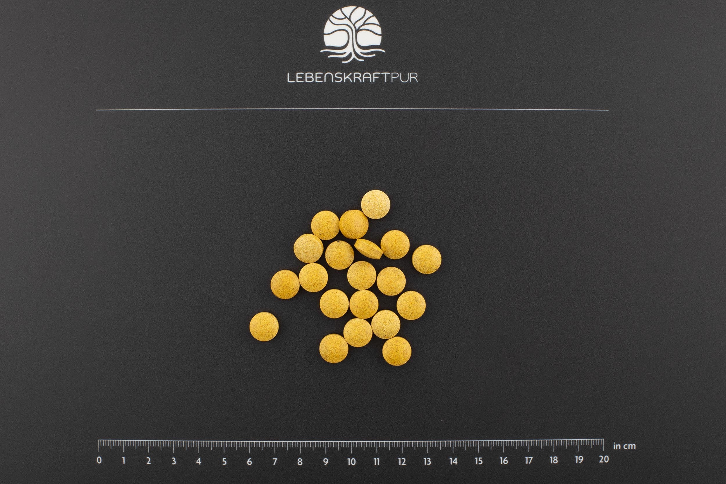 LebenskraftPur Zellkraft Tabletten Vitamine Mineralien Energie