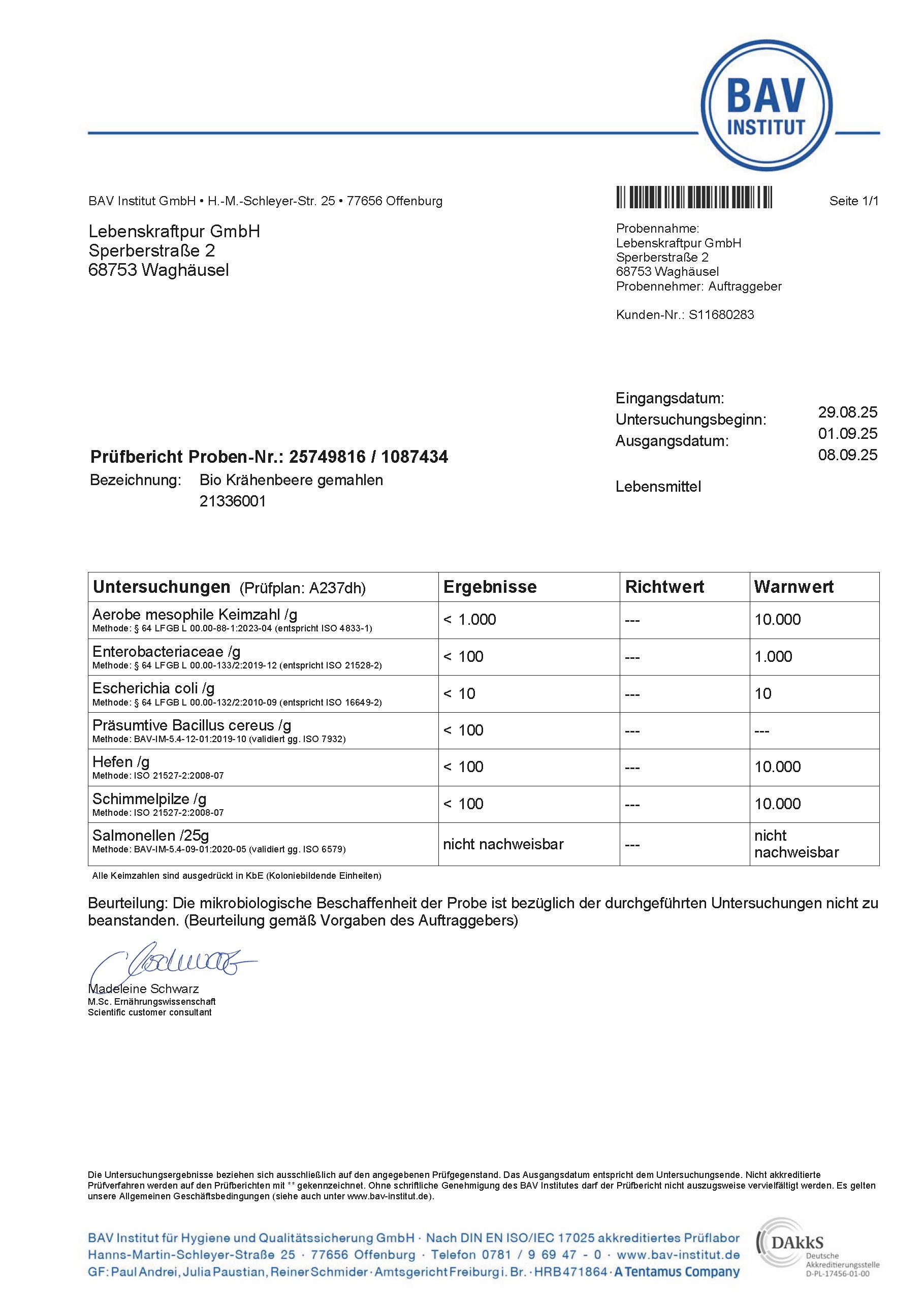 LebenskraftPur Superfood Bio Wilde Krähenbeere Pulver