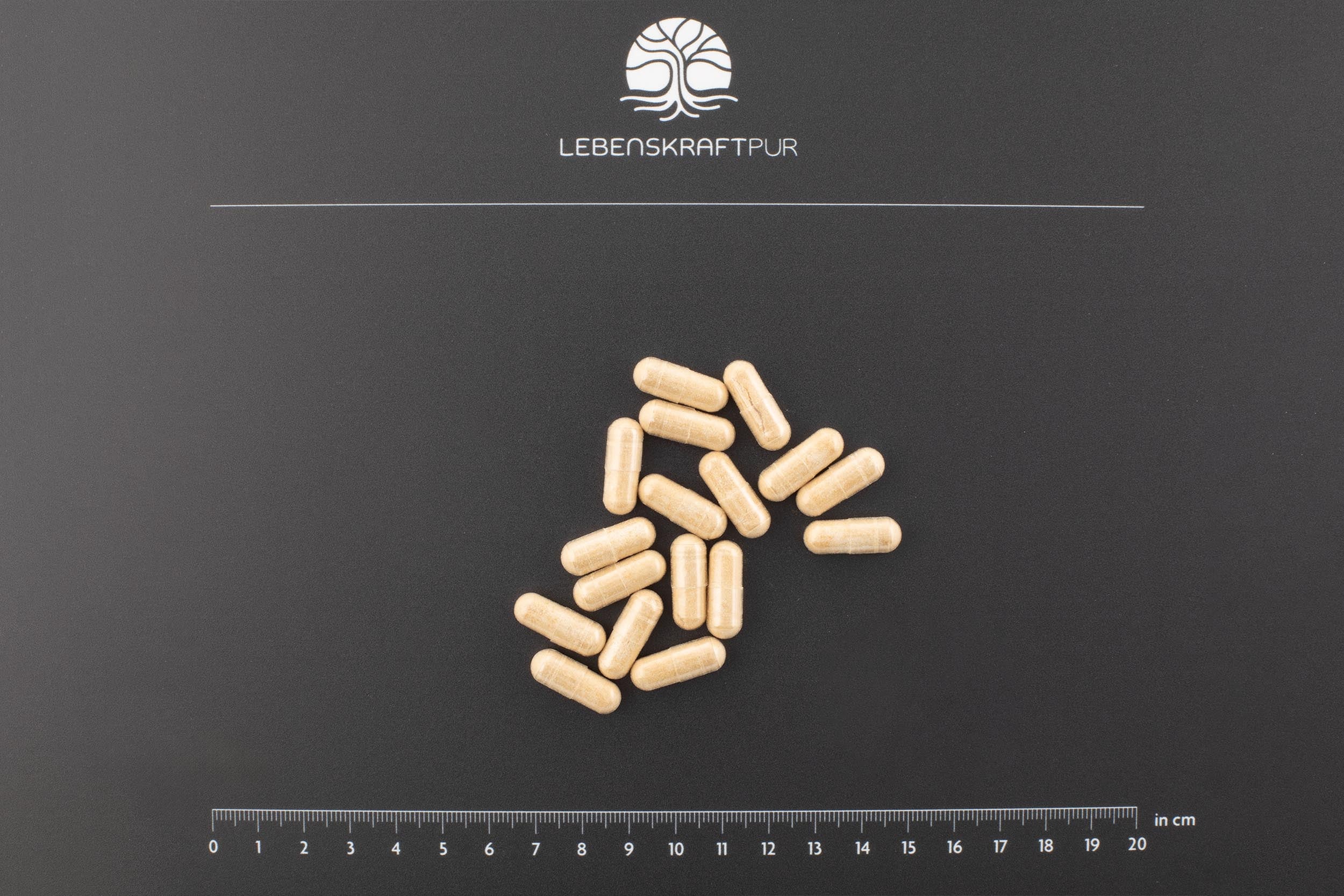 LebenskraftPur Schwarzer Knoblauch Plus Kapseln 60 St Herz