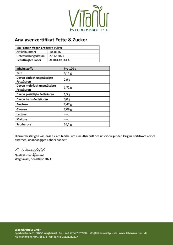 LebenskraftPur Bio Protein Vegan Erdbeere Pulver