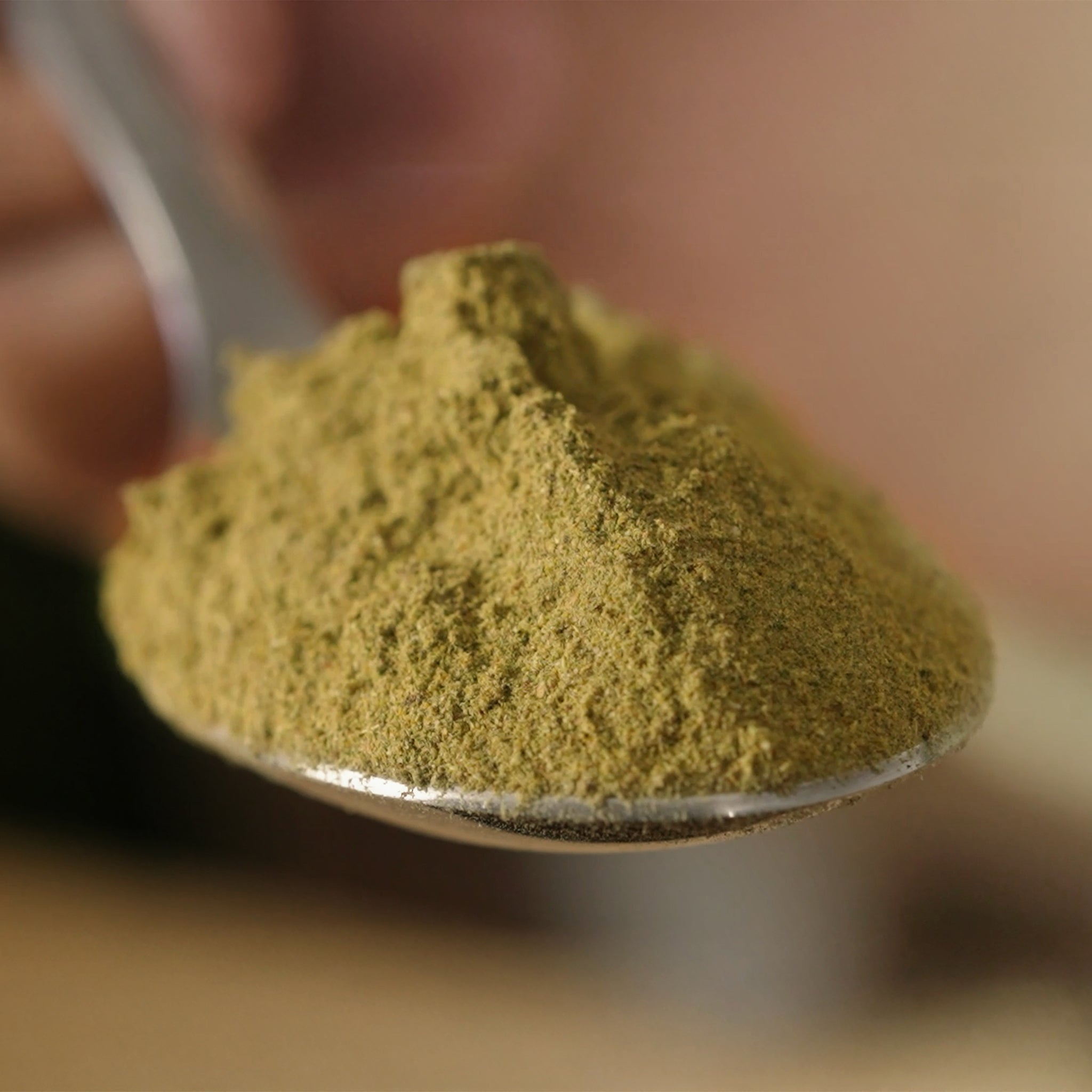 LebenskraftPur Bio Basis Plus Pulver 40 Zutaten vegan