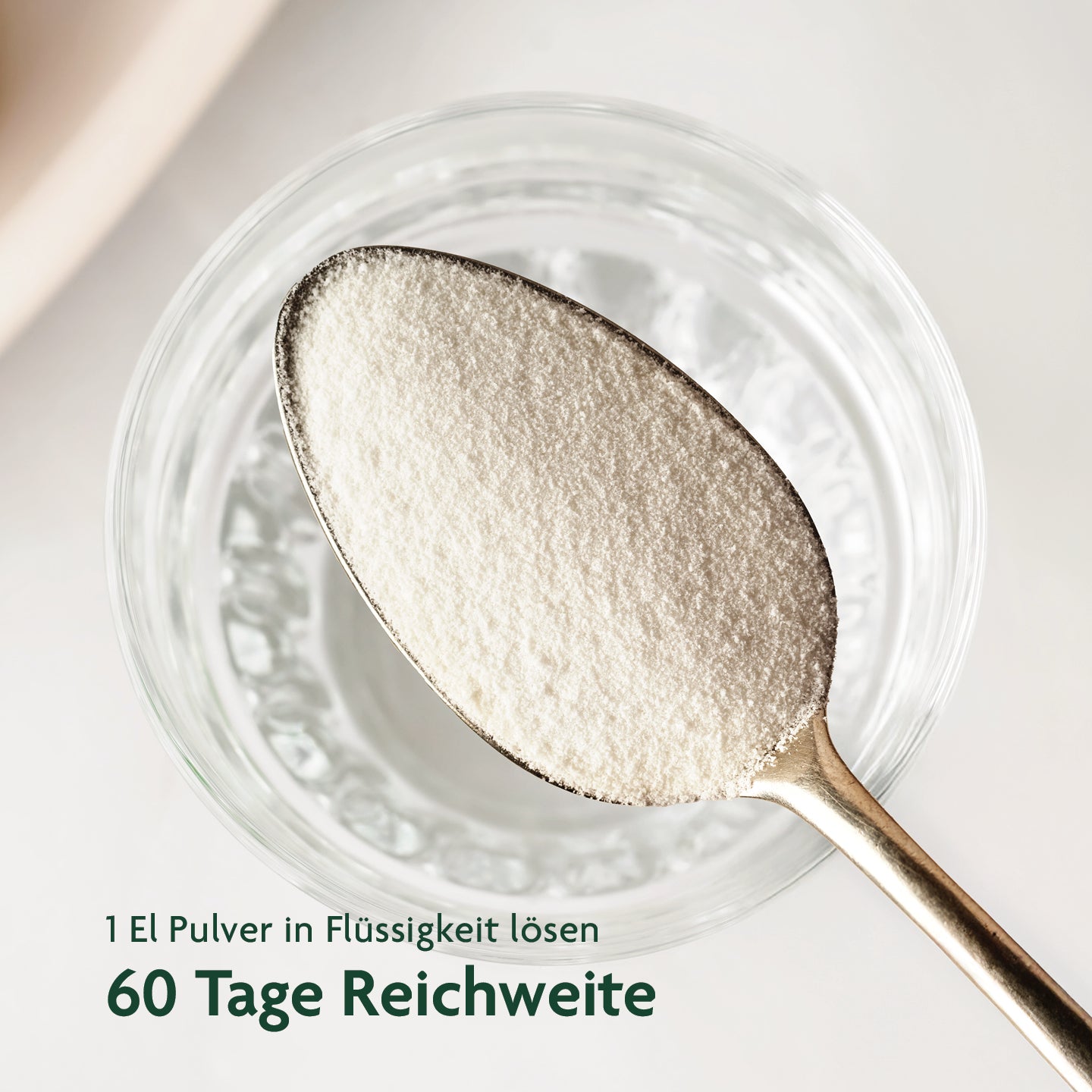LebenskraftPur Kollagenhydrolysat Pulver 600 g Rind pur