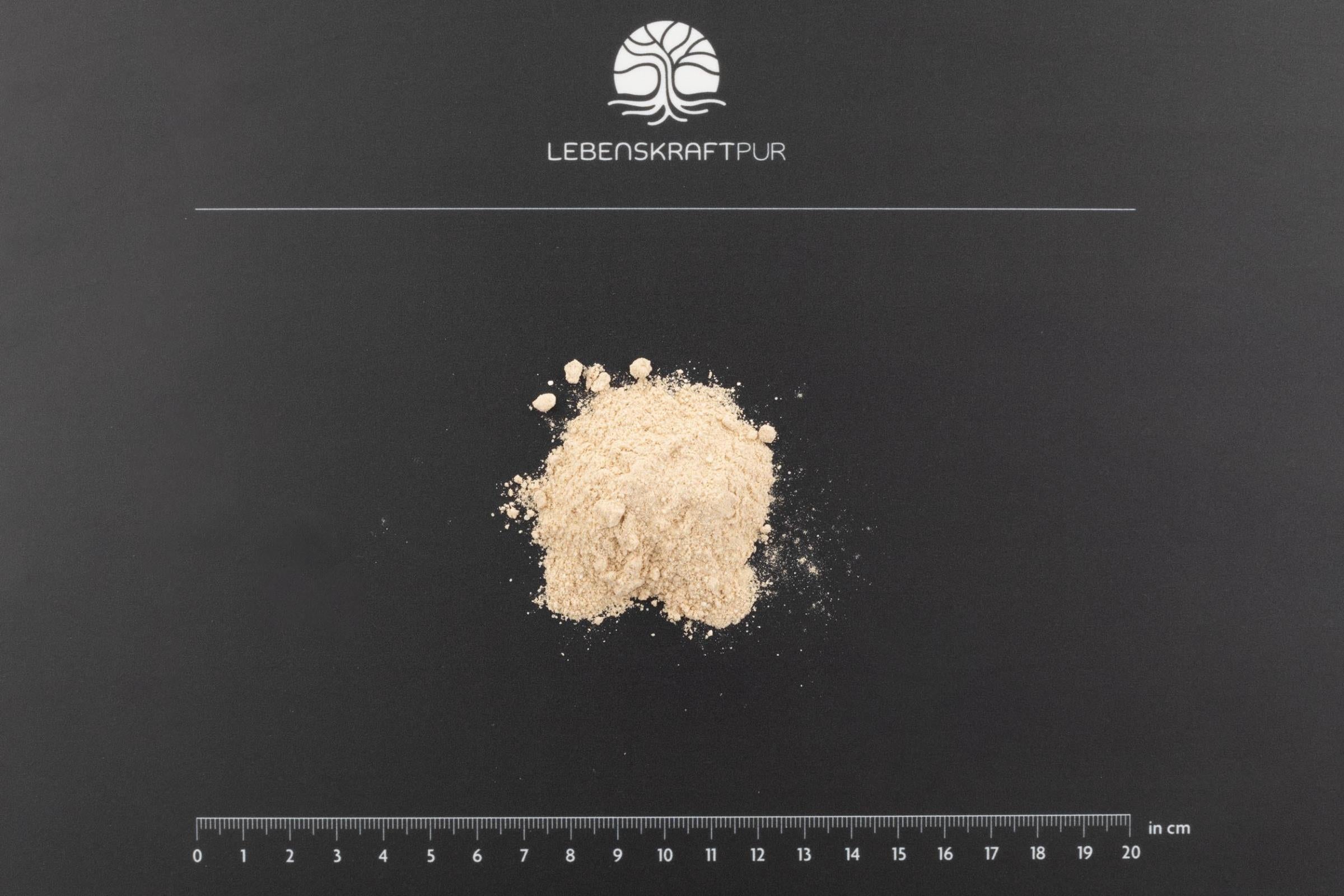 LebenskraftPur Regeneration Tag Pulver Adaptogene Aminosäuren