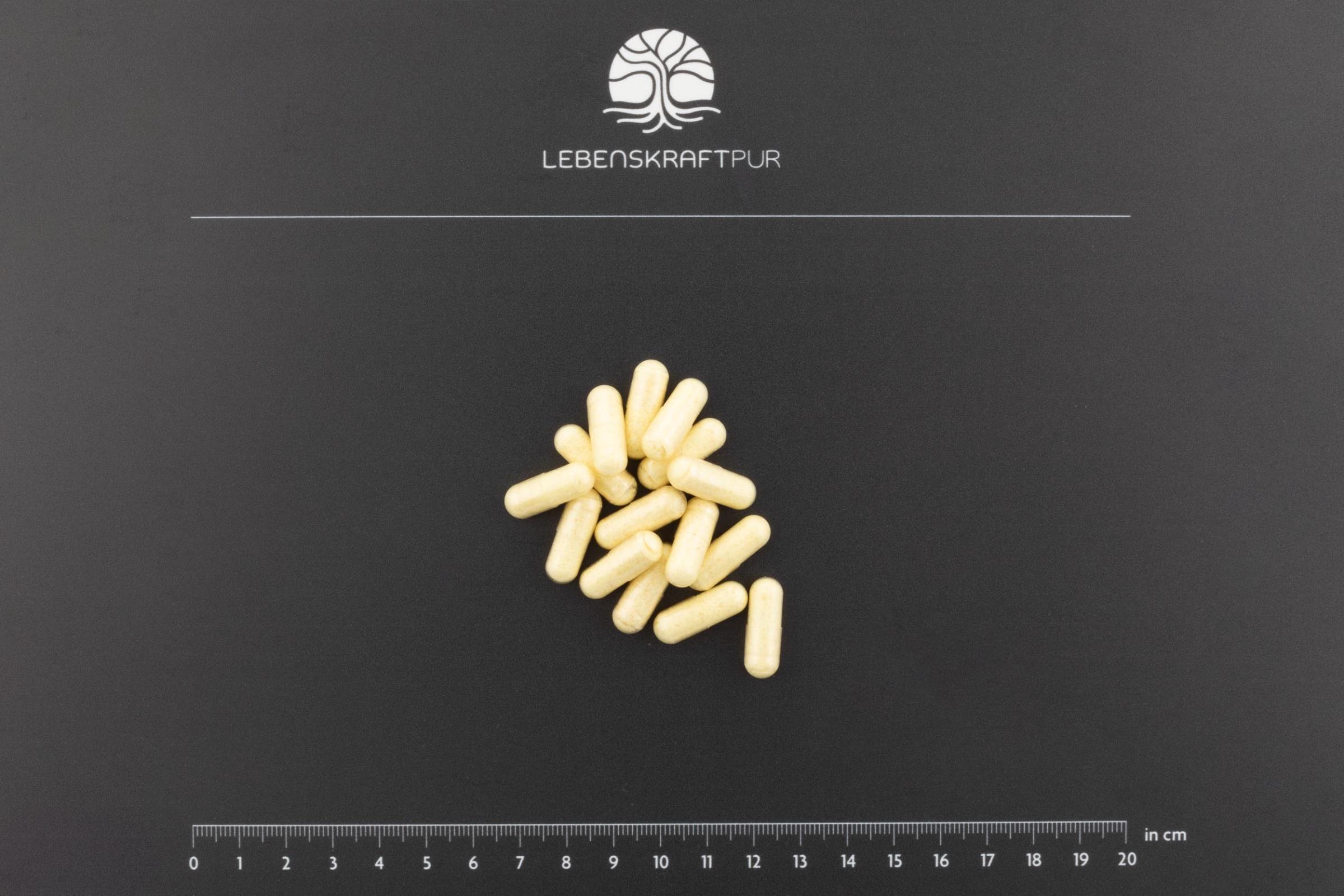 LebenskraftPur R-Alpha-Liponsäure Plus Kapseln hochdosiert