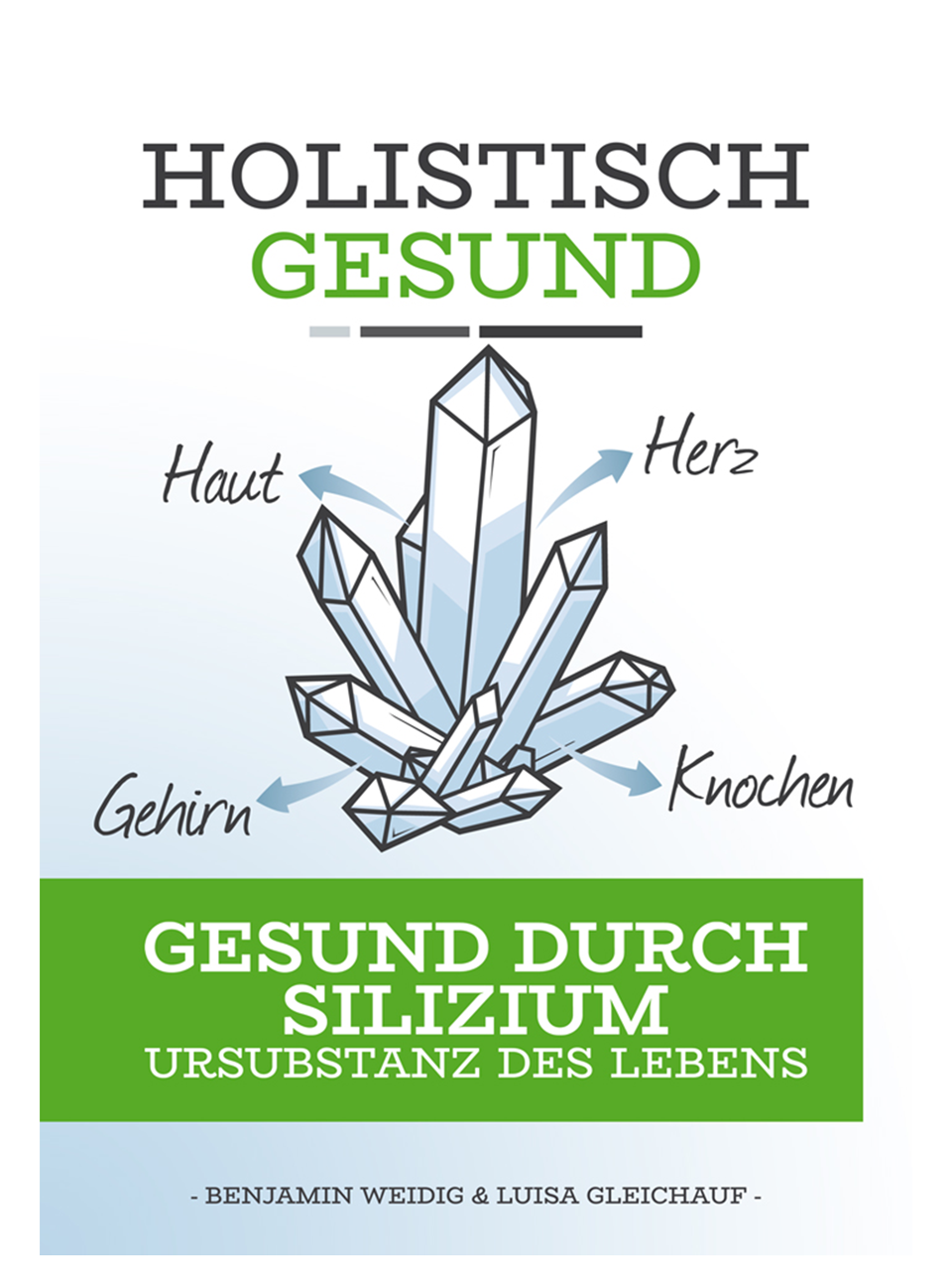 LebenskraftPur Holistisch Gesund Silizium Buch Benjamin Weidig