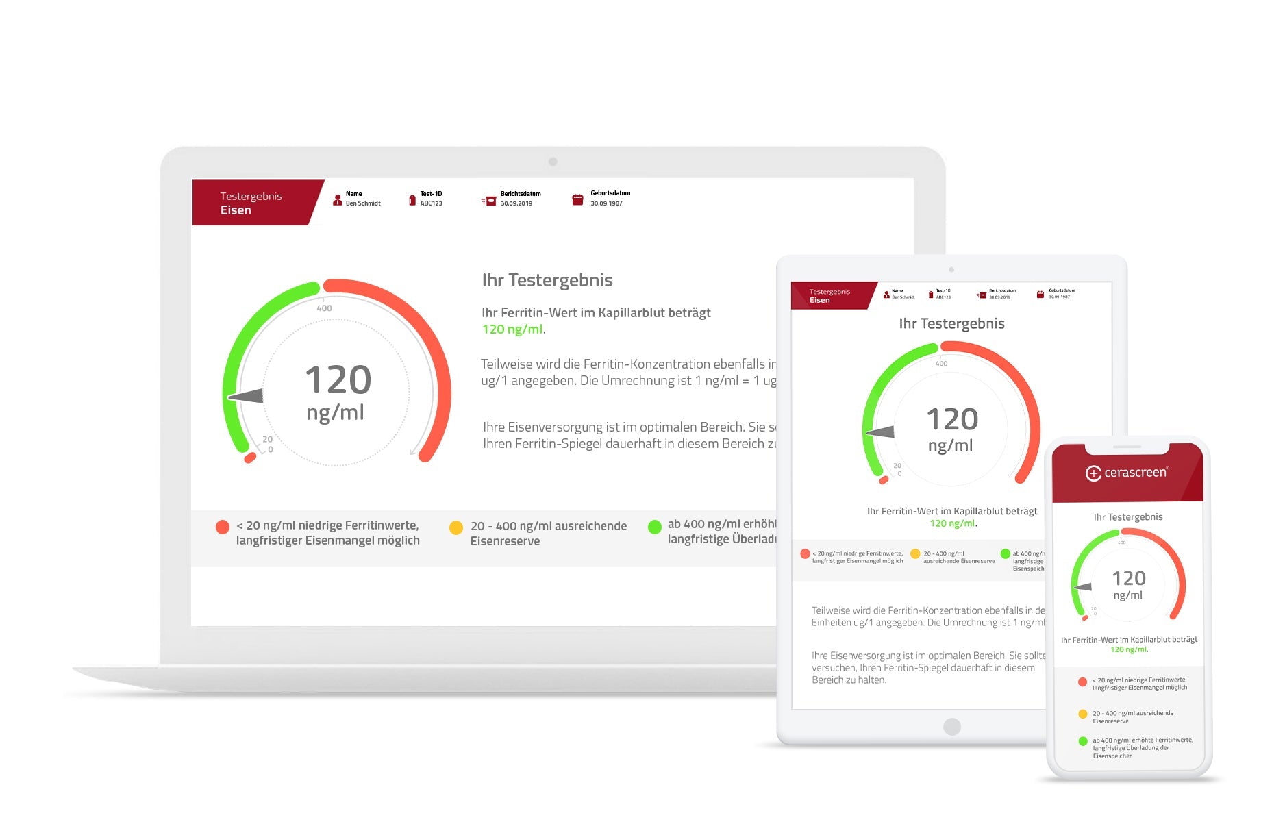 cerascreen Eisen Test Ferritin Bluttest