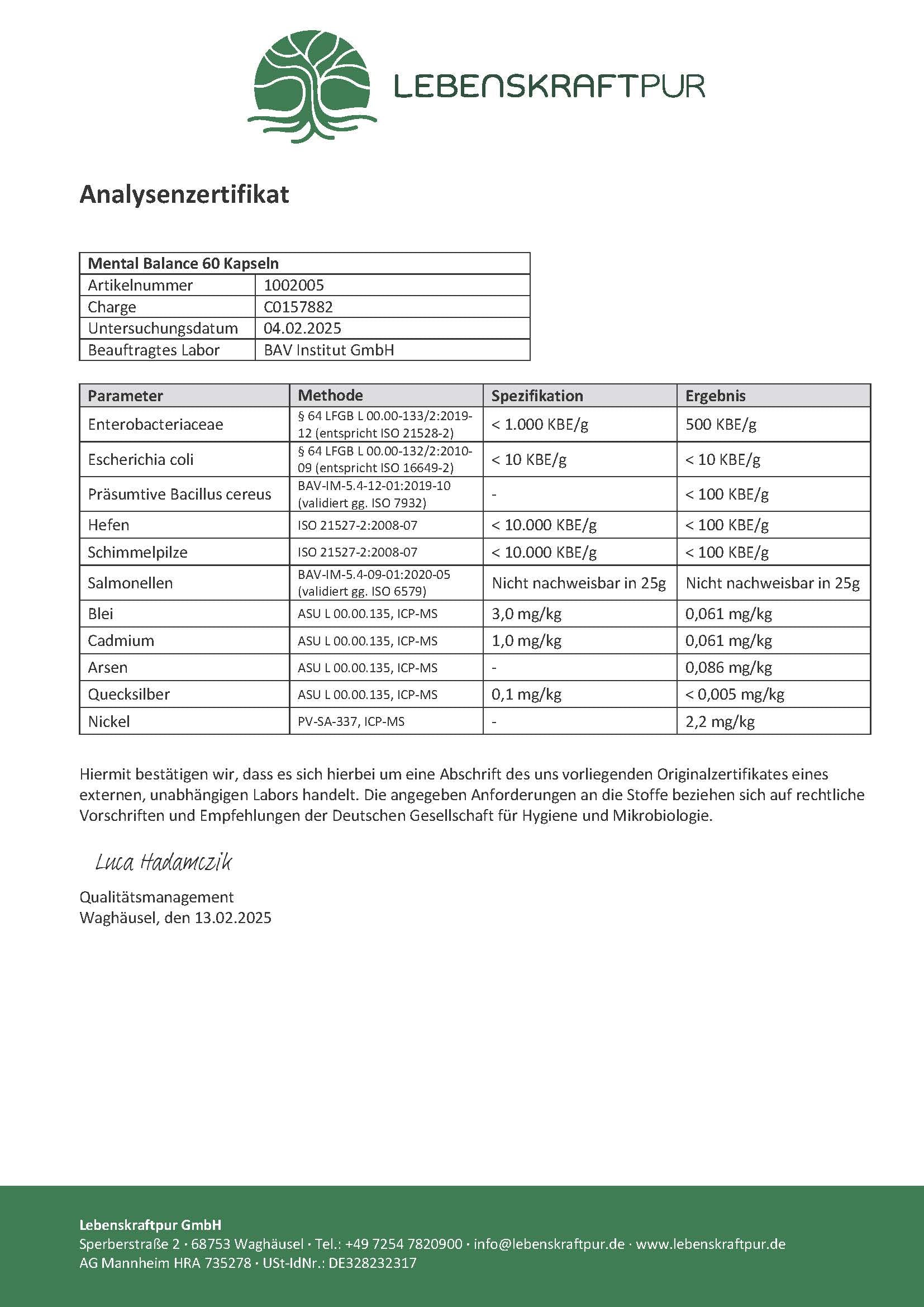 LebenskraftPur Mental Balance Kapseln Rosenwurz Ginkgo