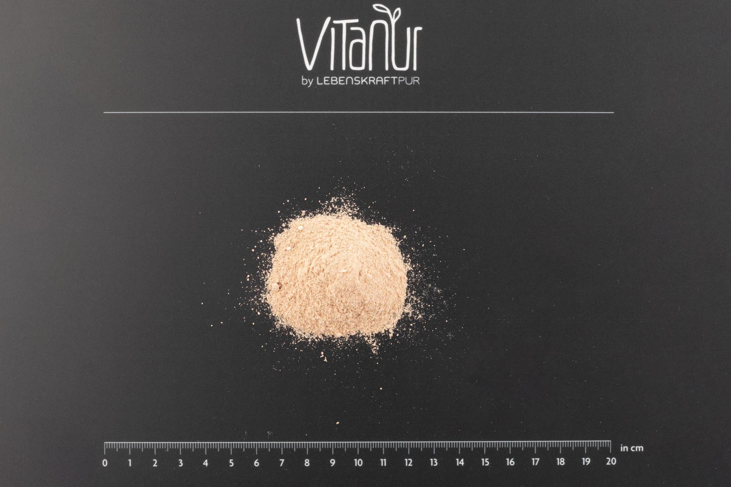 LebenskraftPur Bio Protein Vegan Erdbeere Pulver