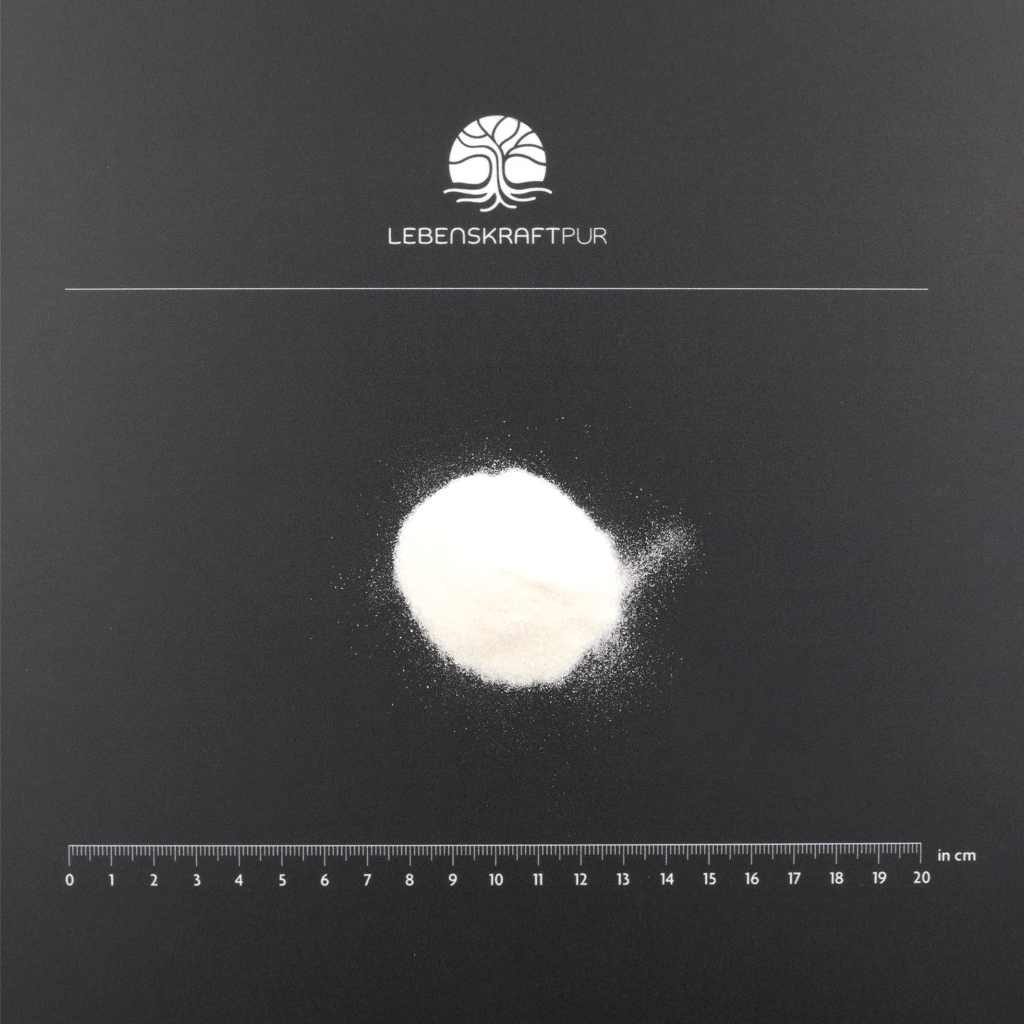 LebenskraftPur Kollagenhydrolysat Pulver 600 g Rind pur