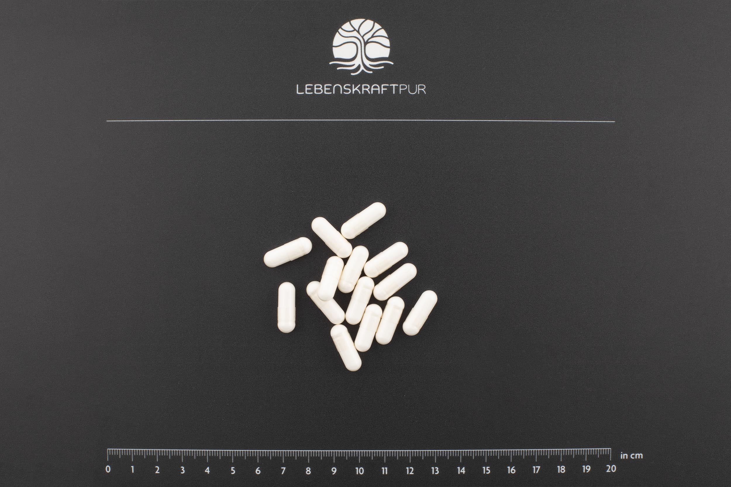 LebenskraftPur Zink Picolinat Kapseln 30 mg vegan hochdosiert