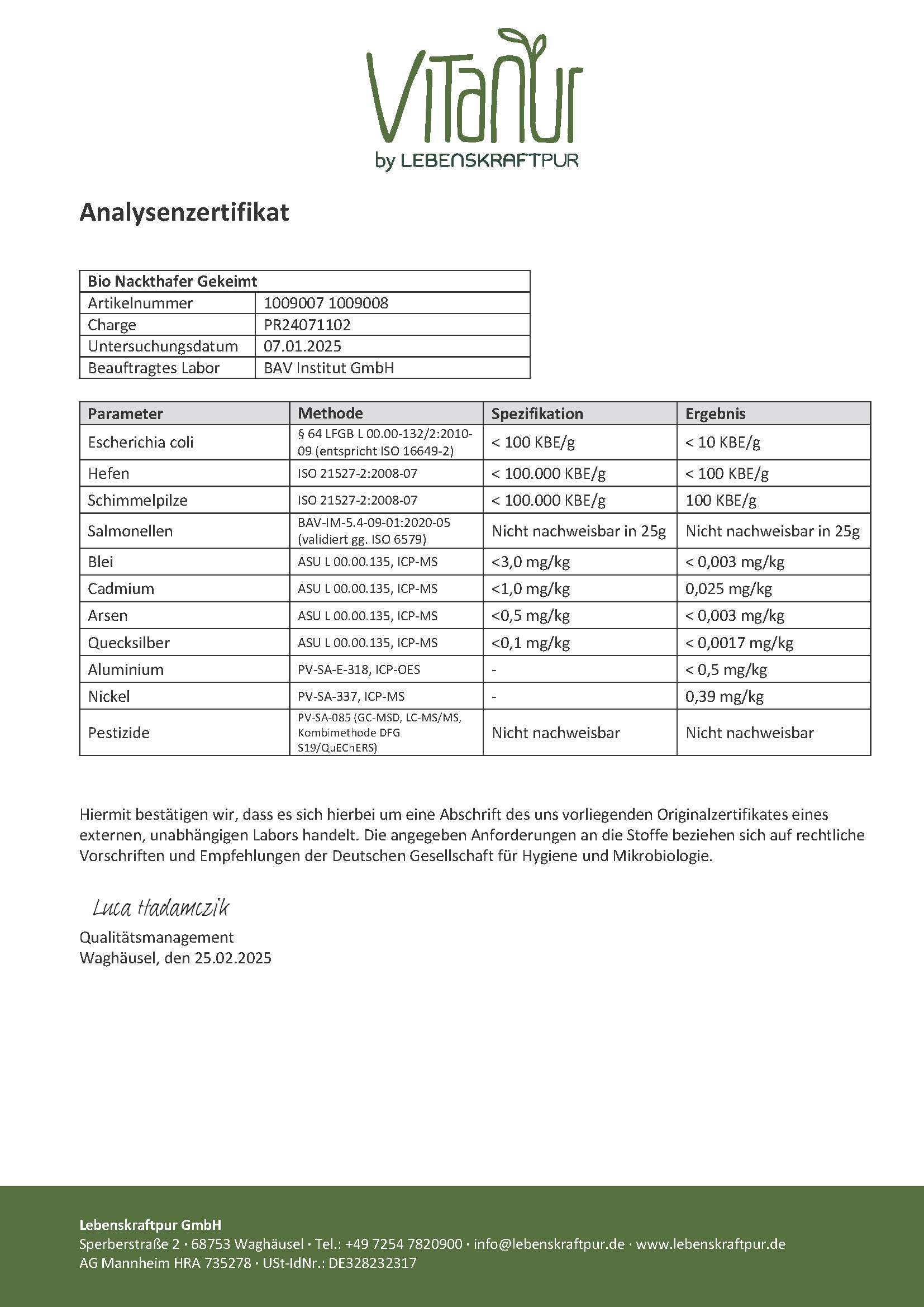 Lebenskraftpur Bio Nackthafer Gekeimt 300 g Rohkost